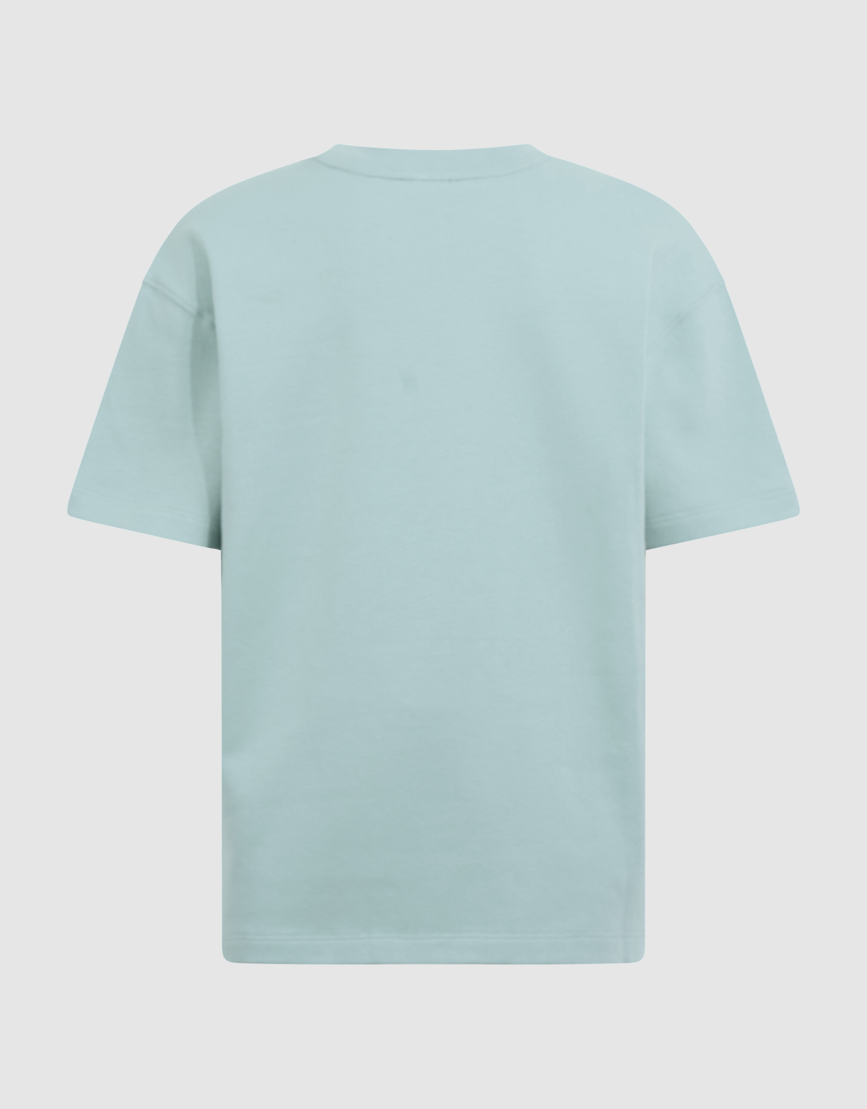 Basis Label T-Shirt Lichtgroen SHOEBY BOYS
