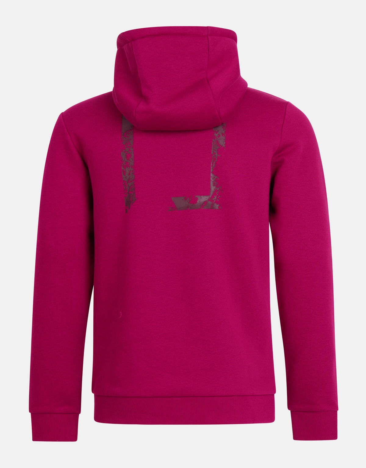 Grafische Hoodie Bordeaux SHOEBY MEN