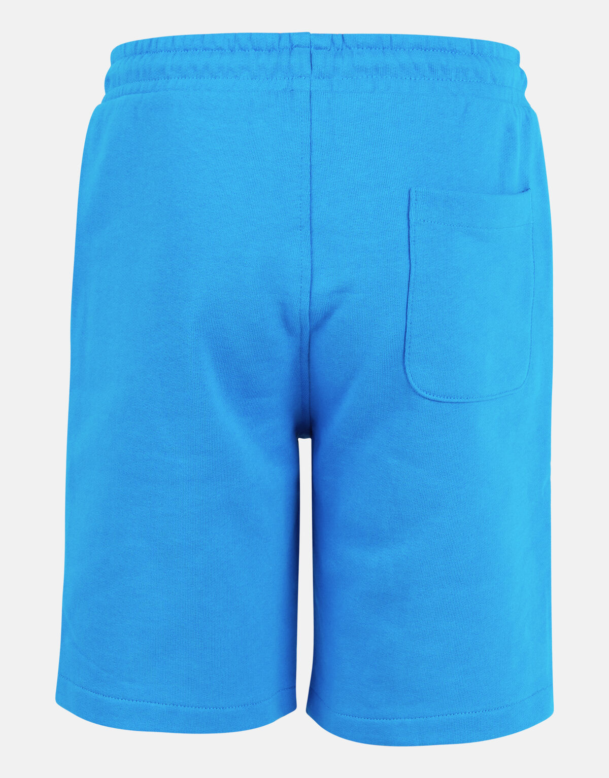 Printed Short Blauw SHOEBY BOYS