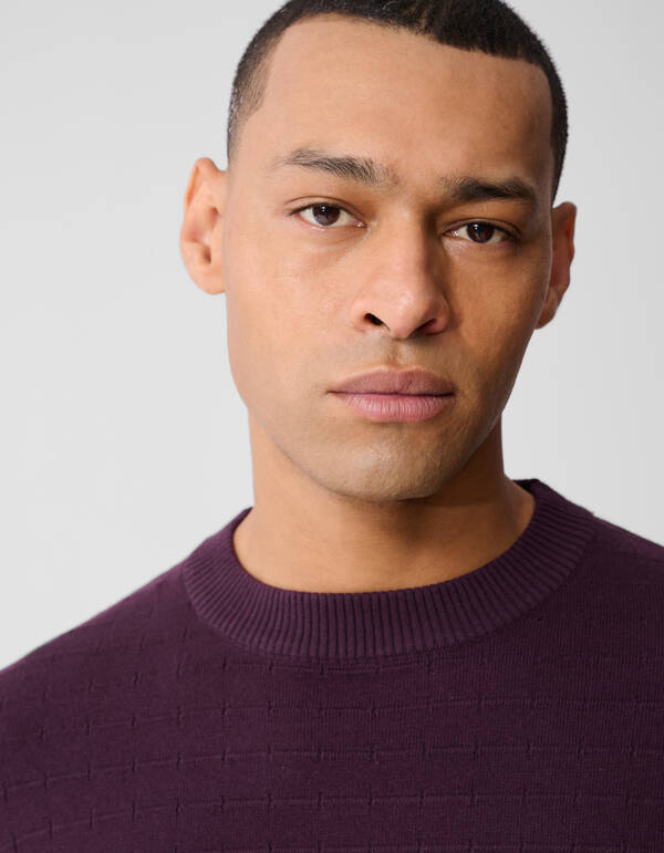 Structuur Gebreide Trui Donkerrood SHOEBY MEN