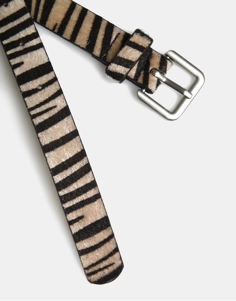 Hairy Zebra Riem