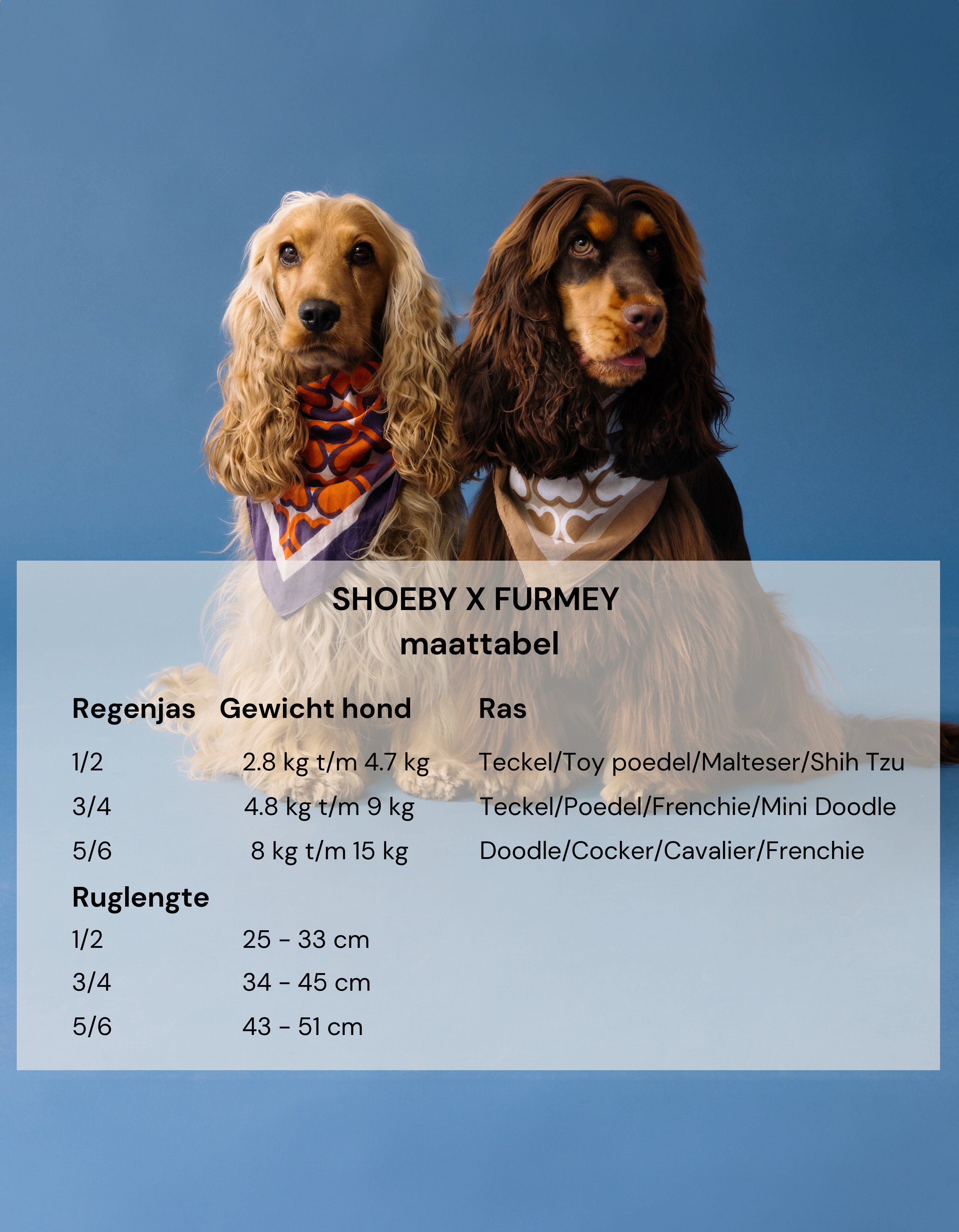 Printed Honden Regenjas Gebroken Wit SHOEBY ACCESSOIRES