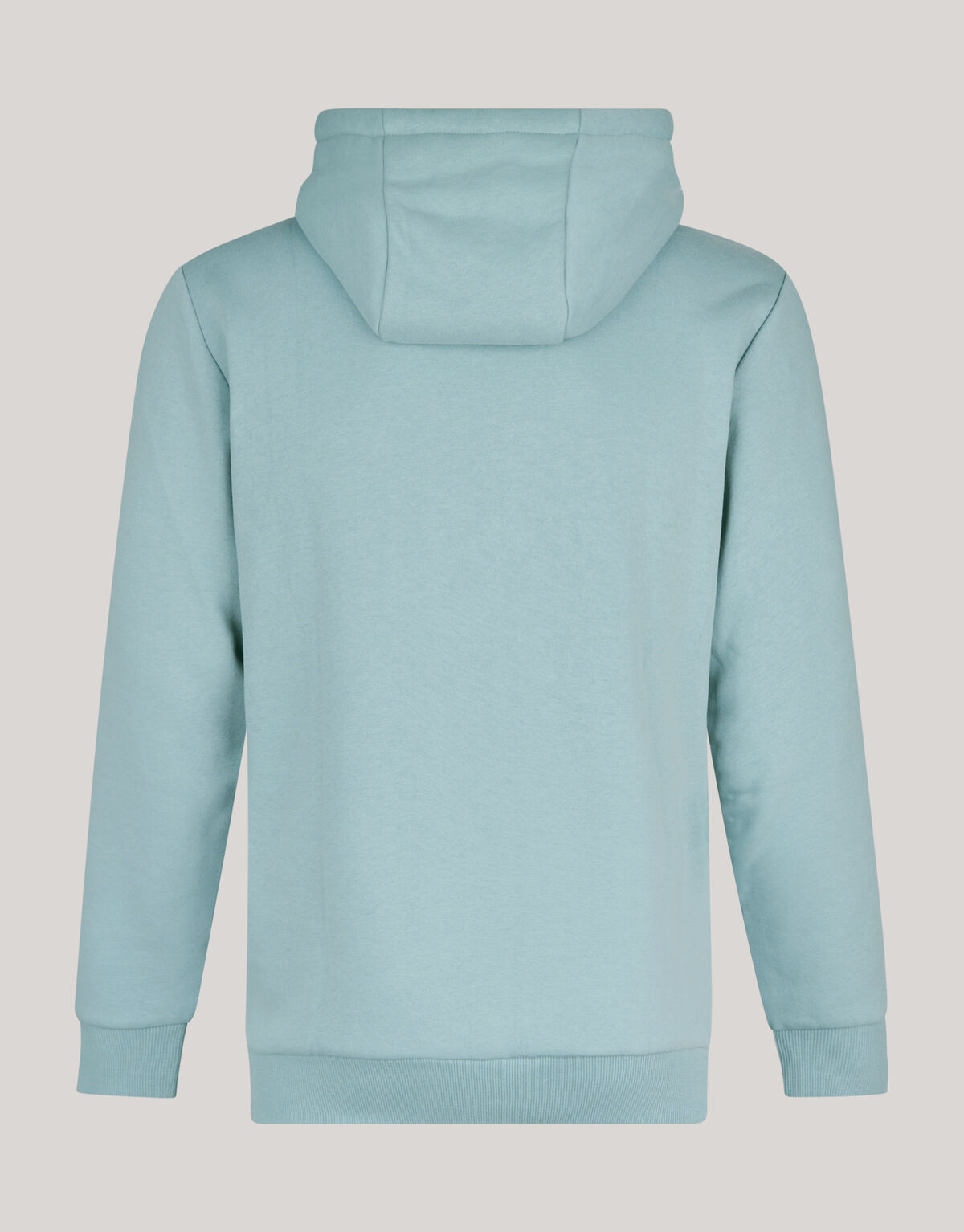 Basis Hoodie Lichtgroen SHOEBY MEN