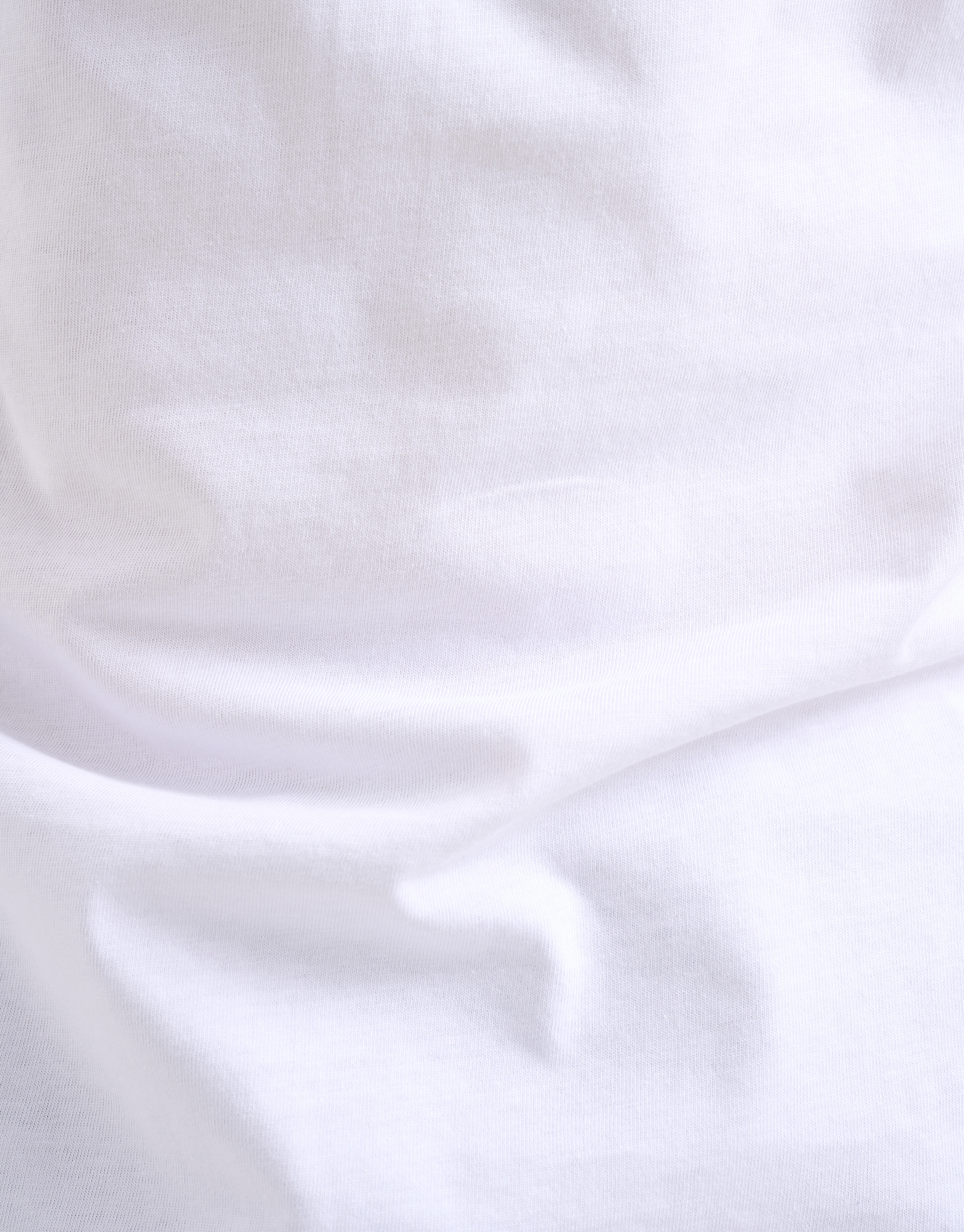 Tekst T-shirt Wit SHOEBY MEN