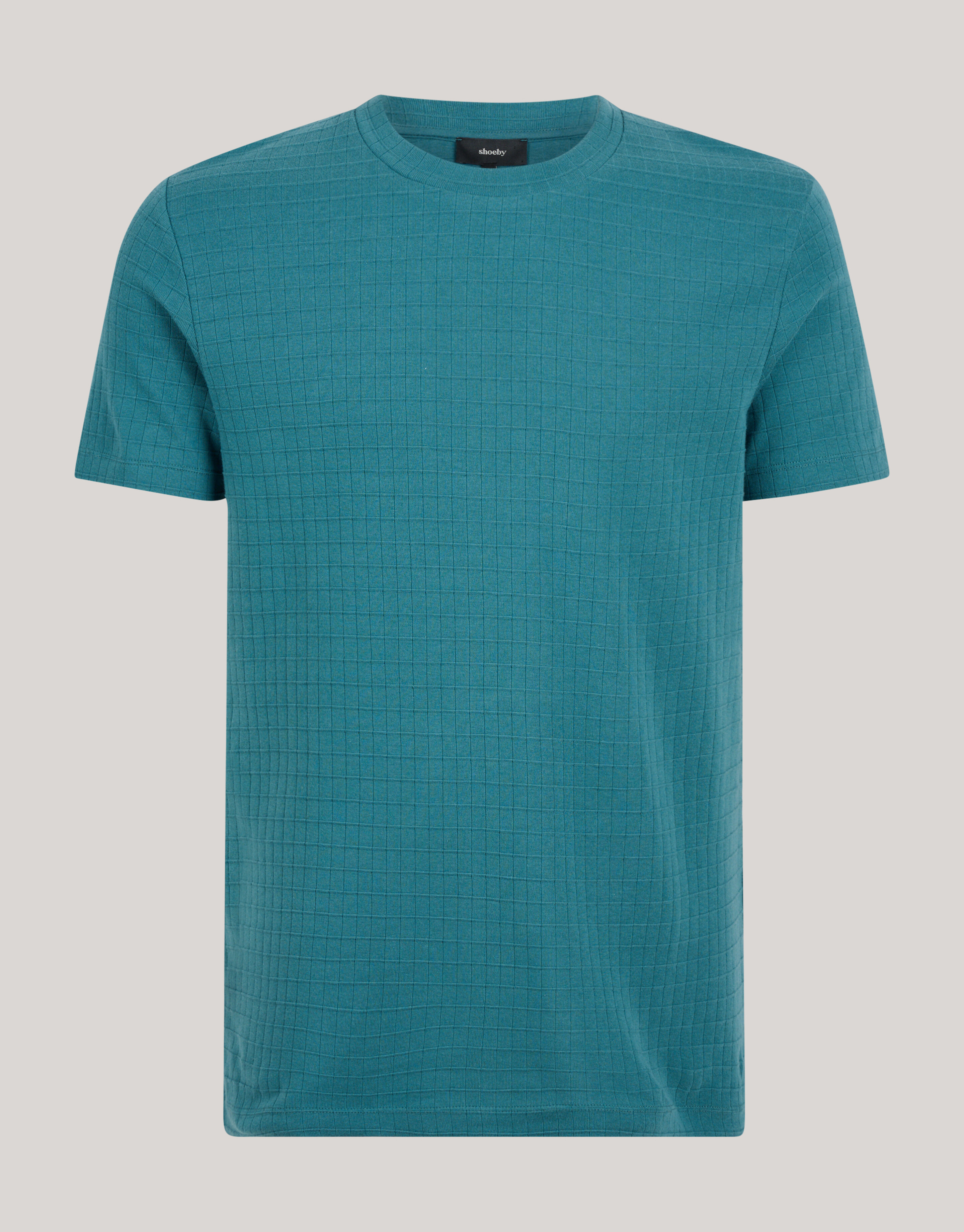 Structuur T-shirt Turquoise SHOEBY MEN