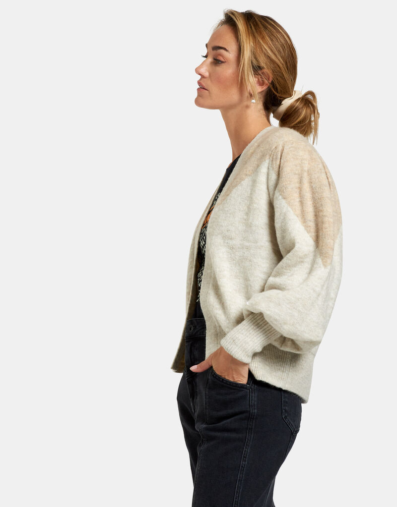 Puffy Vest