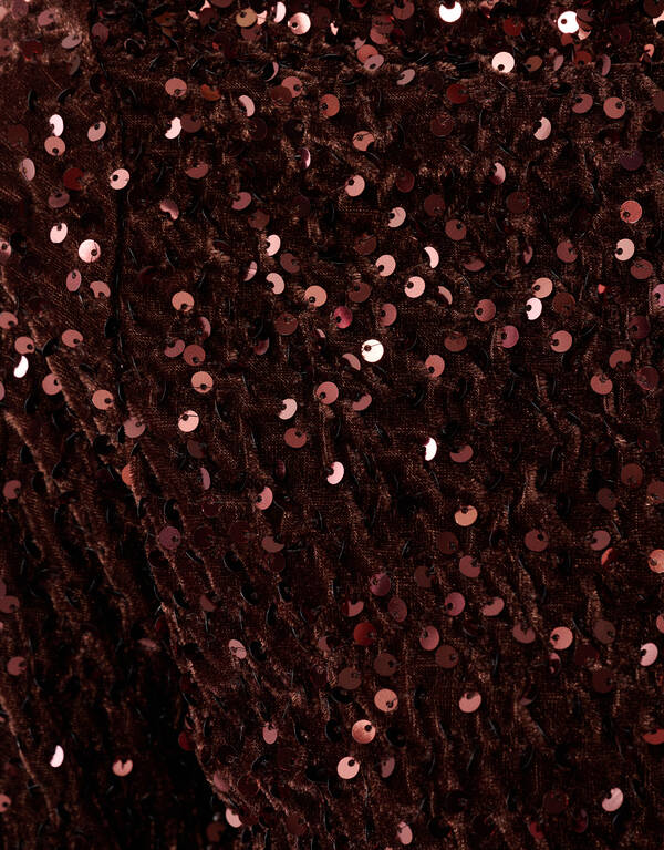 Sequin Flare Longsleeve Top Bruin SHOEBY WOMEN