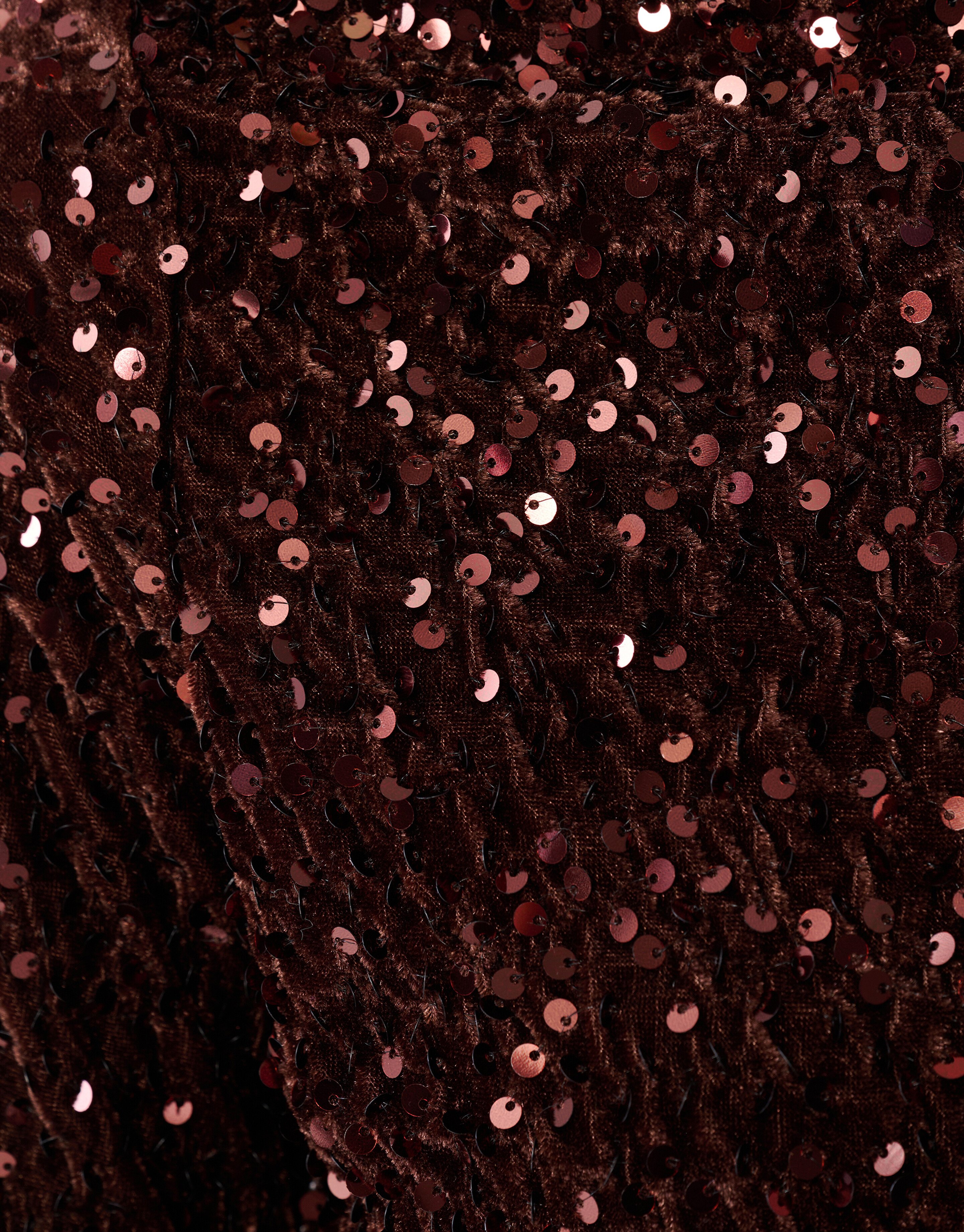 Sequin Flare Longsleeve Top Bruin SHOEBY WOMEN