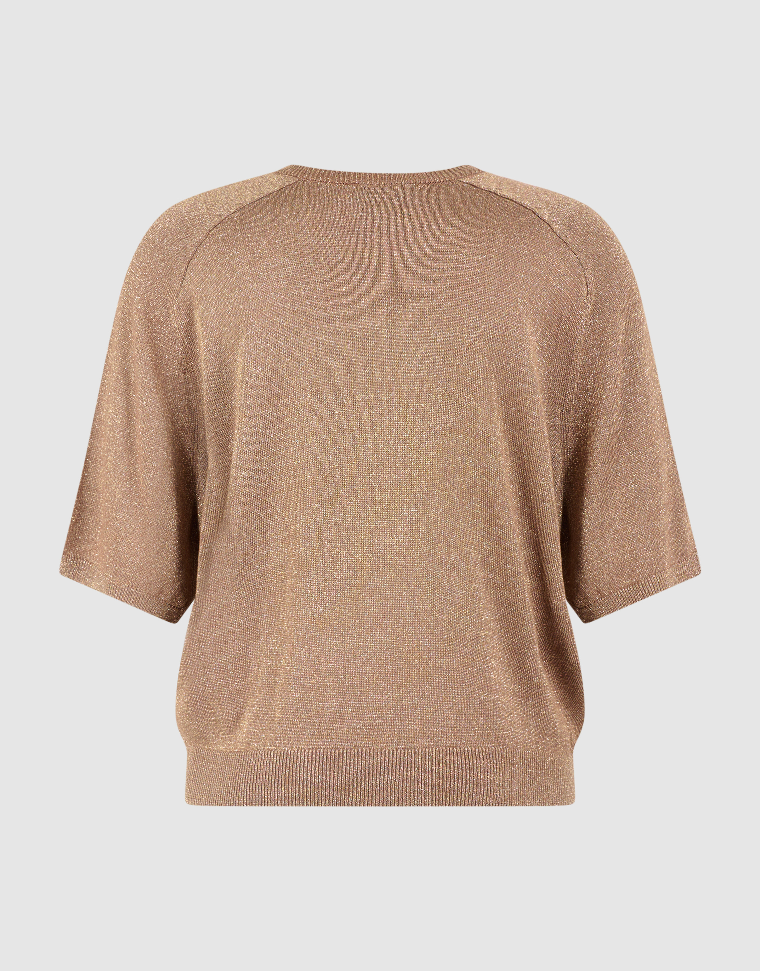 Short Sleeve Glitter Trui Bruin SHOEBY WOMEN