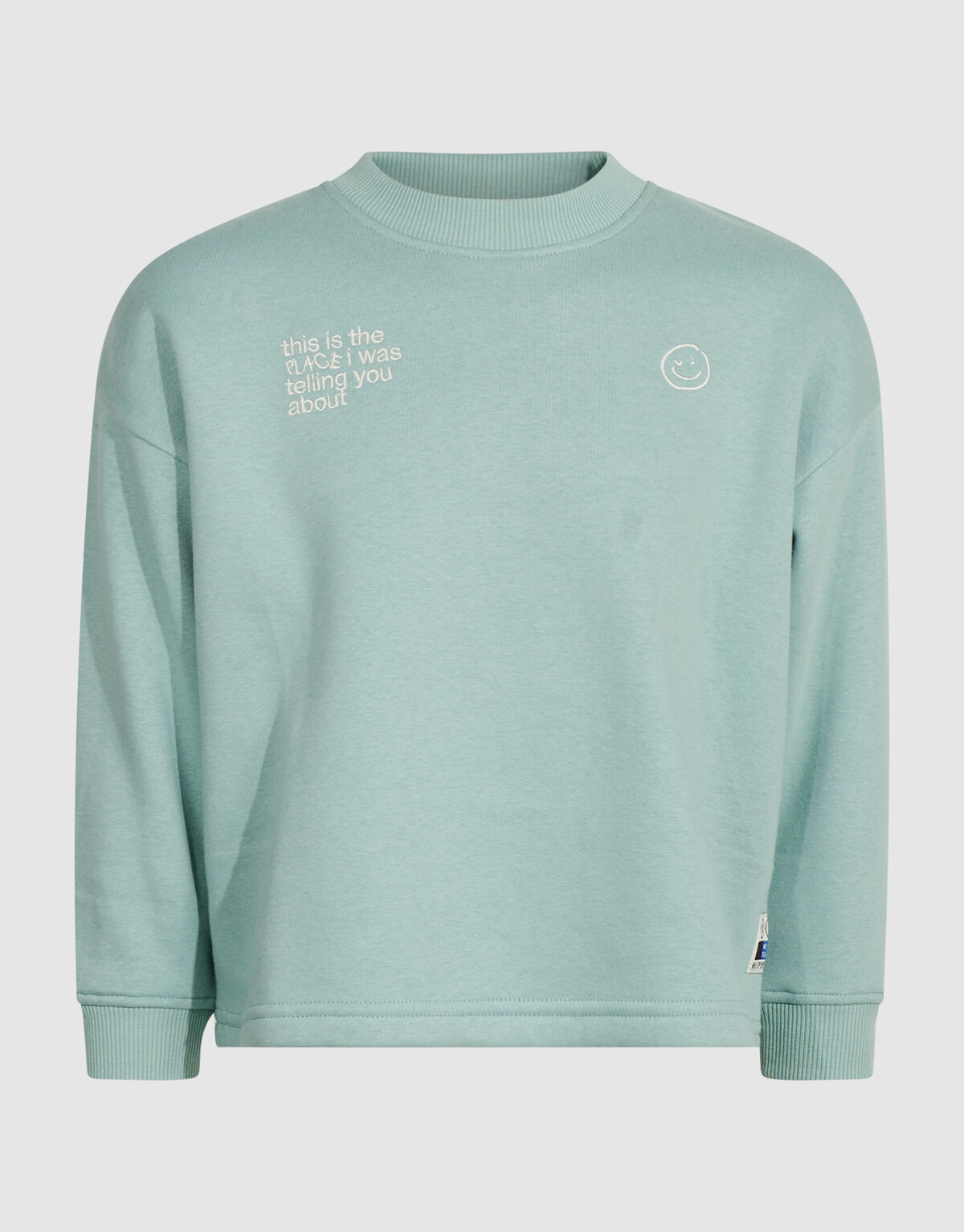 Oversized Artwork Sweater Lichtgroen SHOEBY BOYS