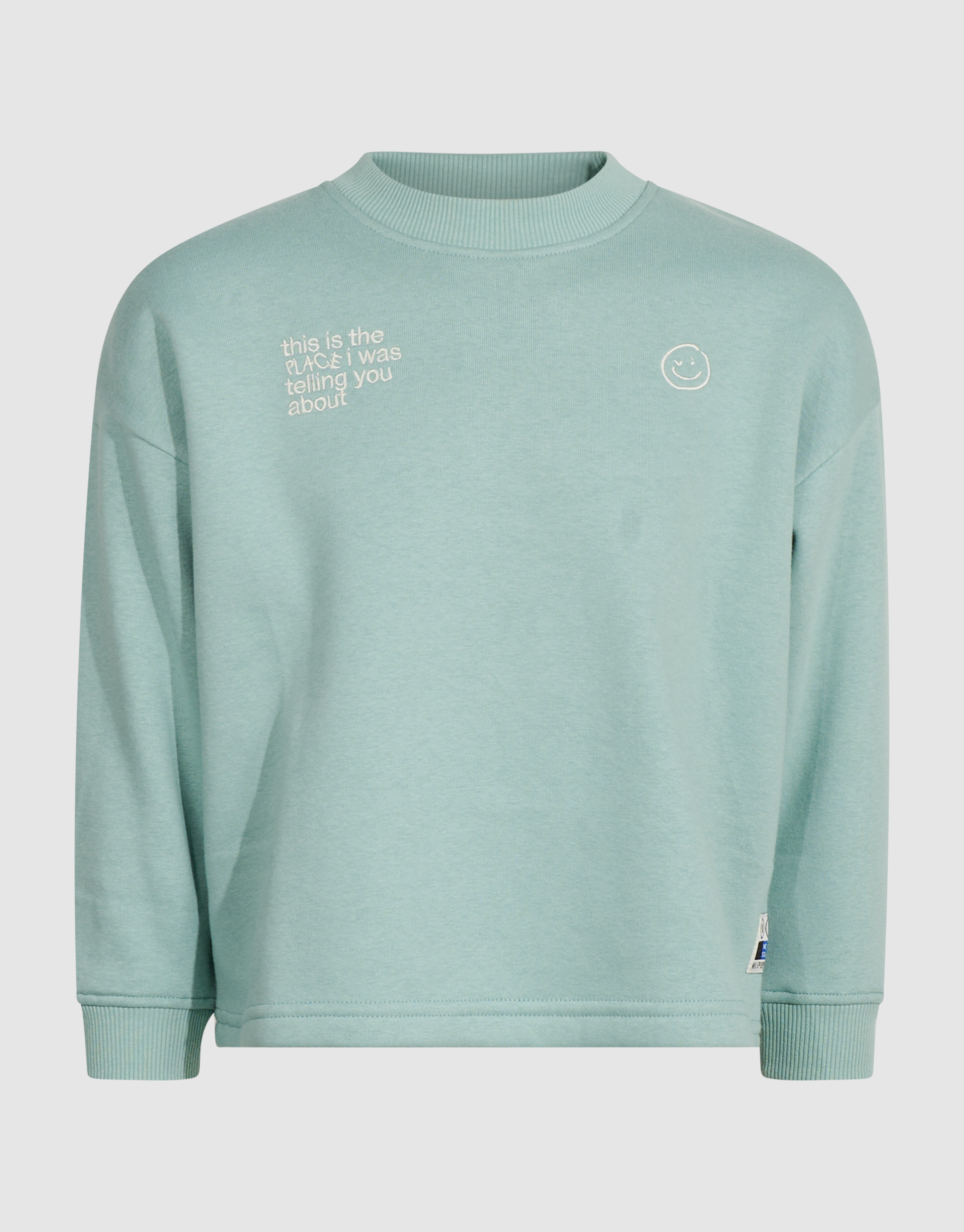 Oversized Artwork Sweater Lichtgroen SHOEBY BOYS
