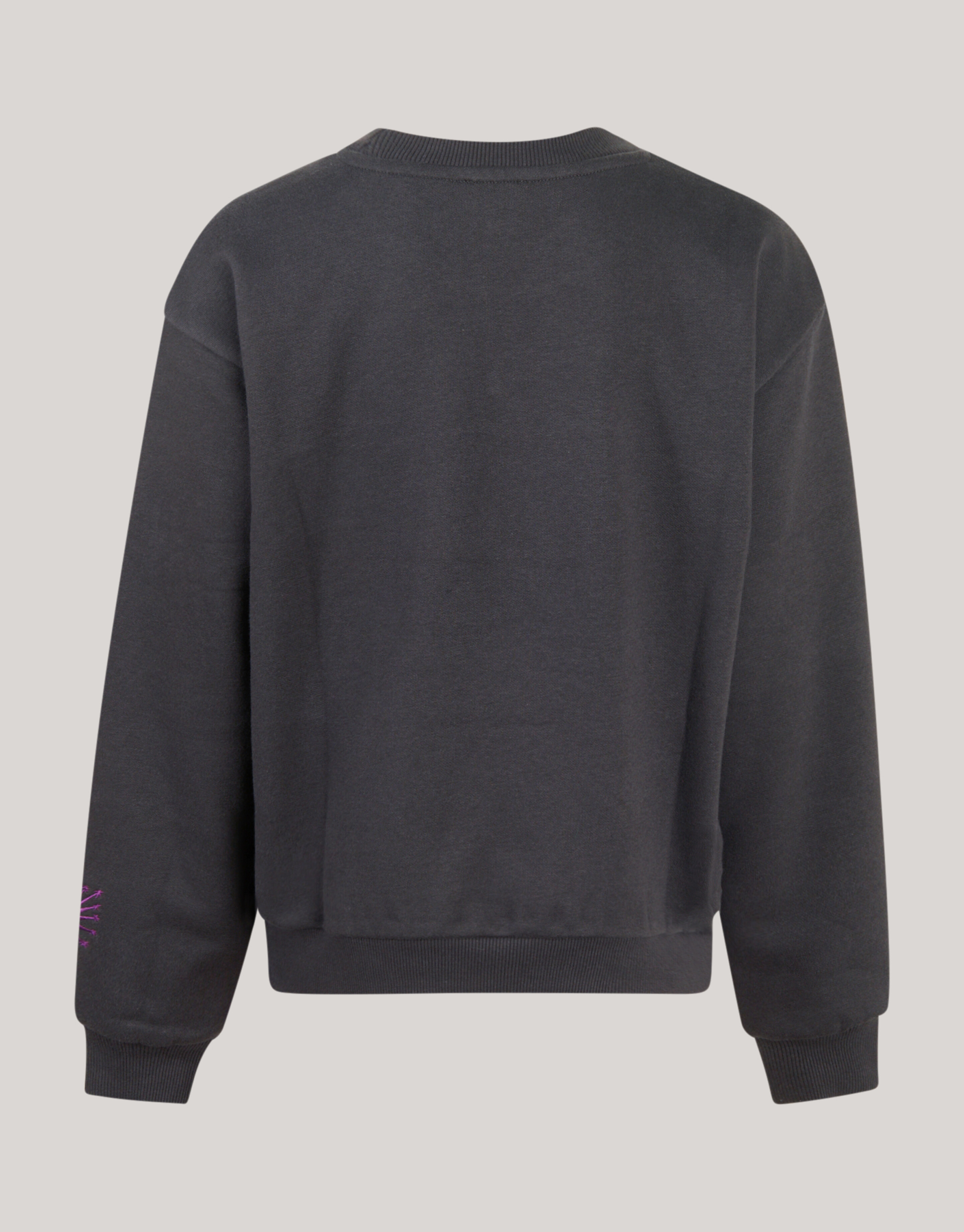 Artwork Sweater Donkergrijs SHOEBY GIRLS