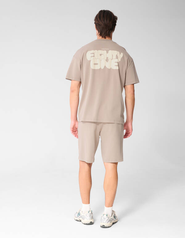 Washed Spark T-shirt Taupe SHOEBY MEN