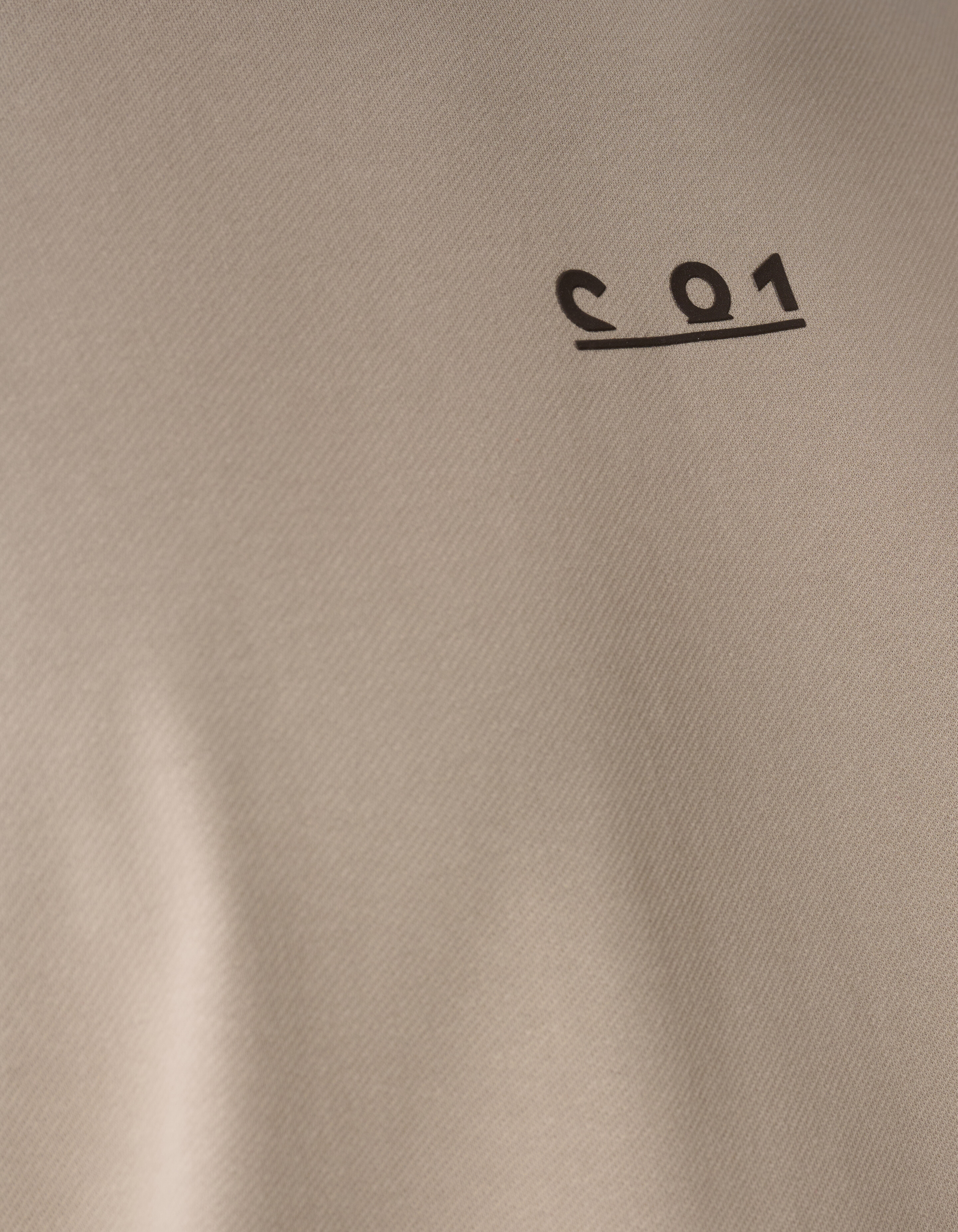 Grafische Tekst T-shirt Lichtbruin SHOEBY MEN