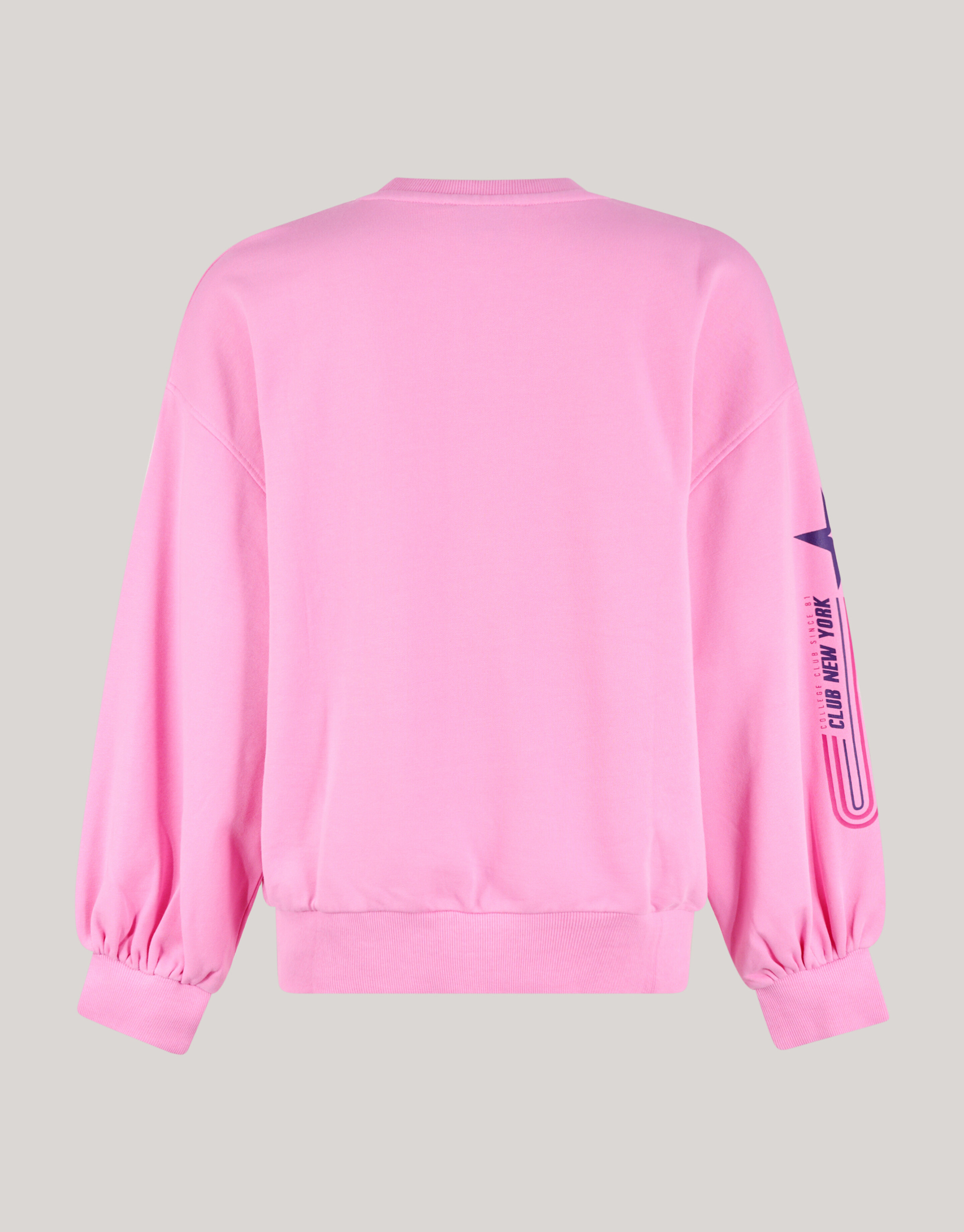 Artwork Sweater Roze SHOEBY WOMEN