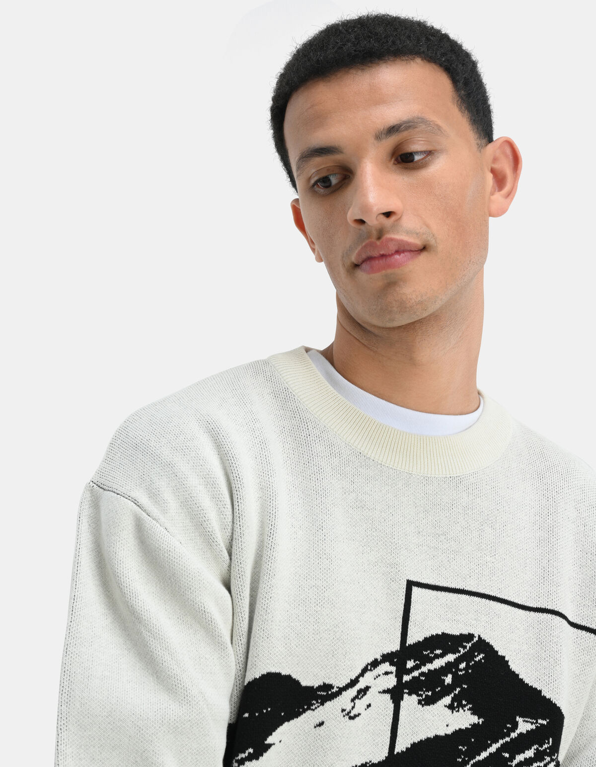 Landschap Trui Beige SHOEBY MEN