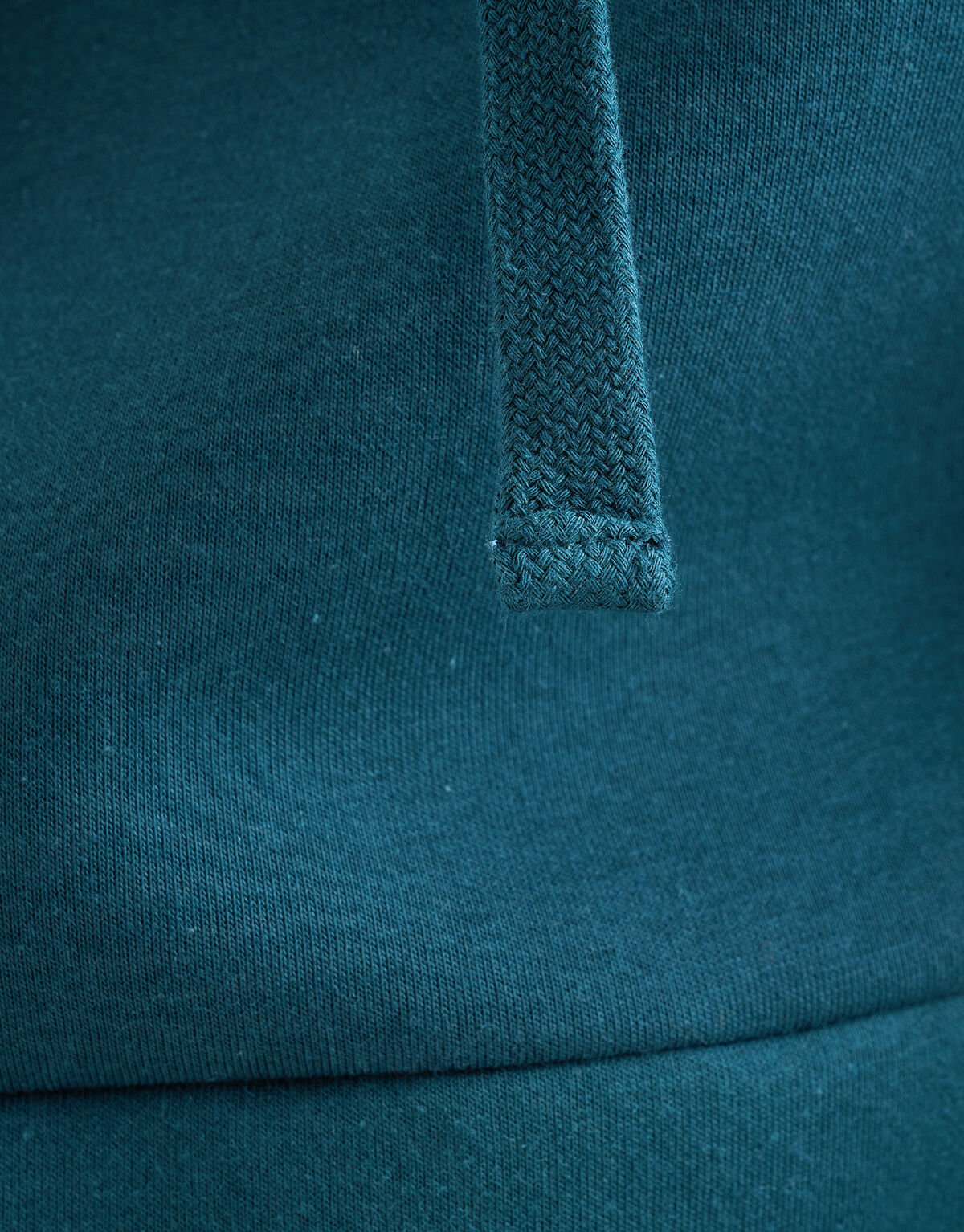 Landschap Hoodie Blauw SHOEBY MEN