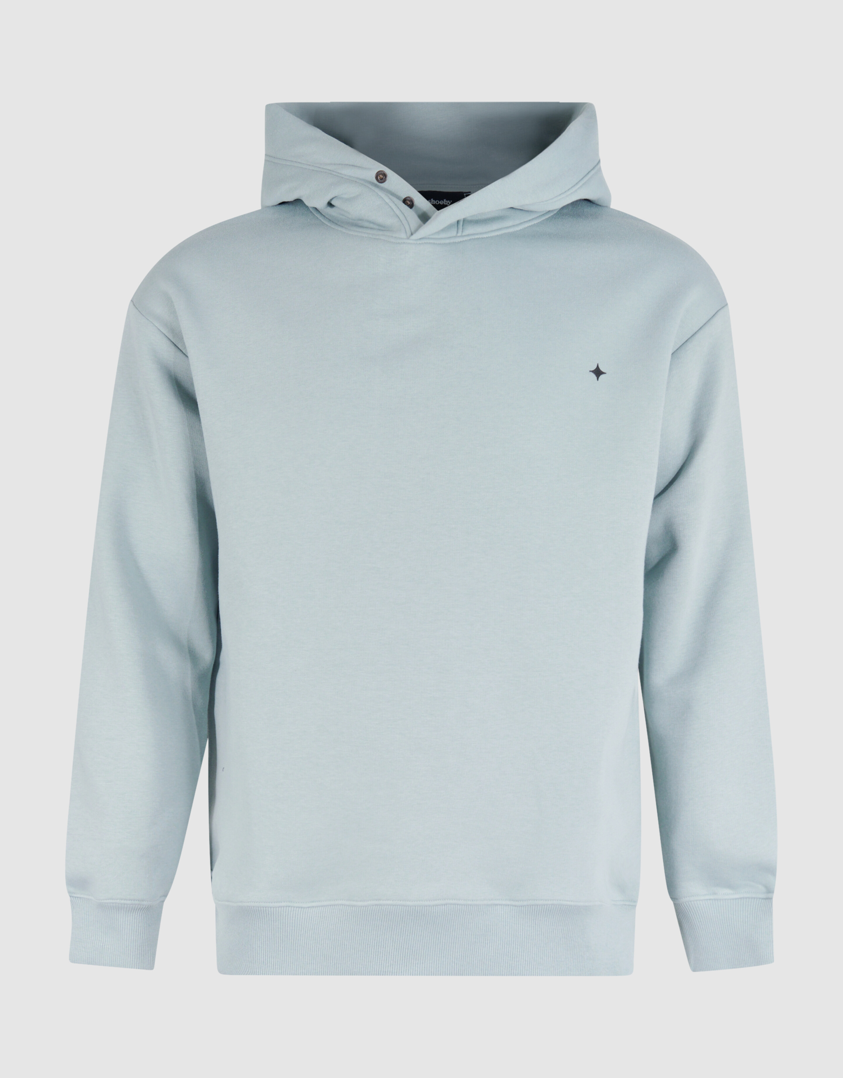 Relaxed Fit Hoodie Lichtgroen SHOEBY MEN