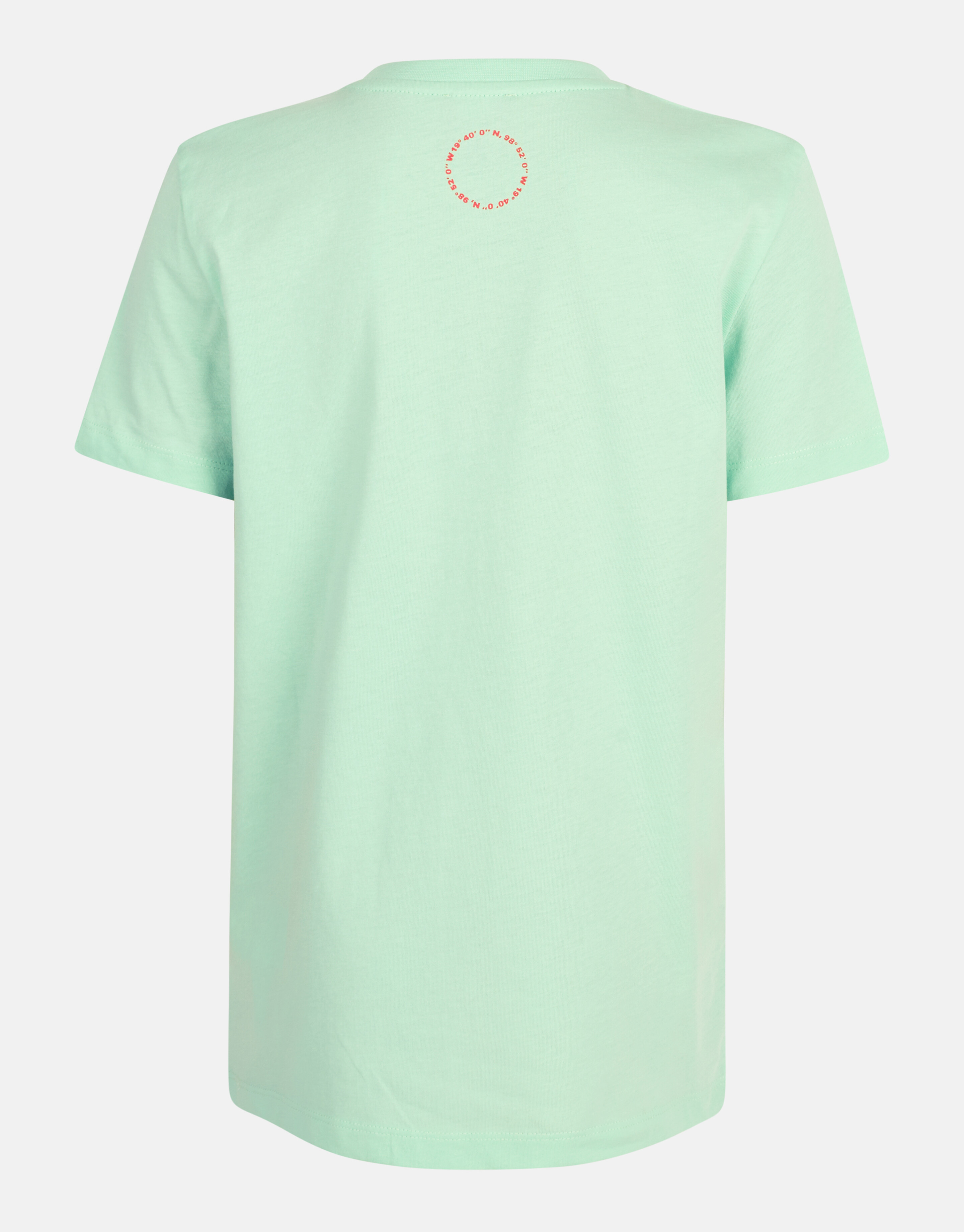 Artwork T-shirt Lichtgroen SHOEBY BOYS