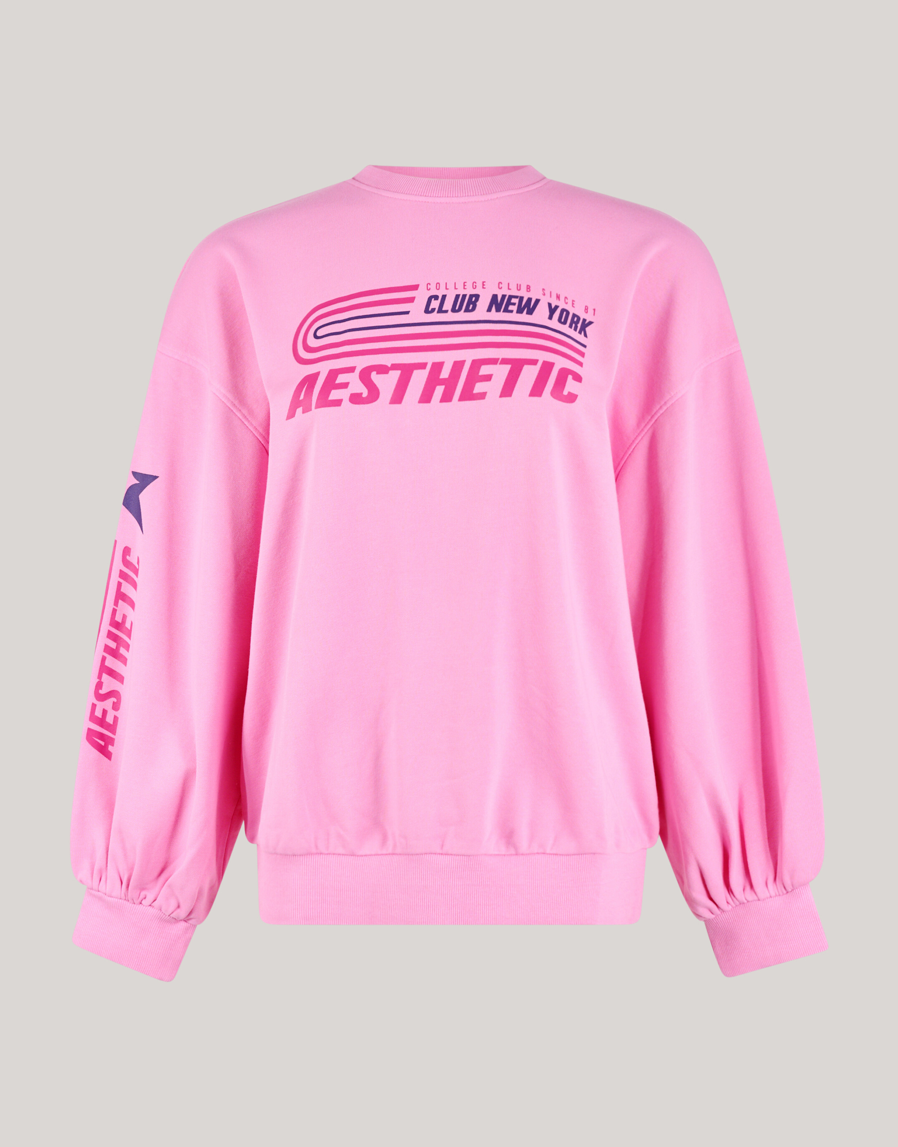 Artwork Sweater Roze SHOEBY WOMEN