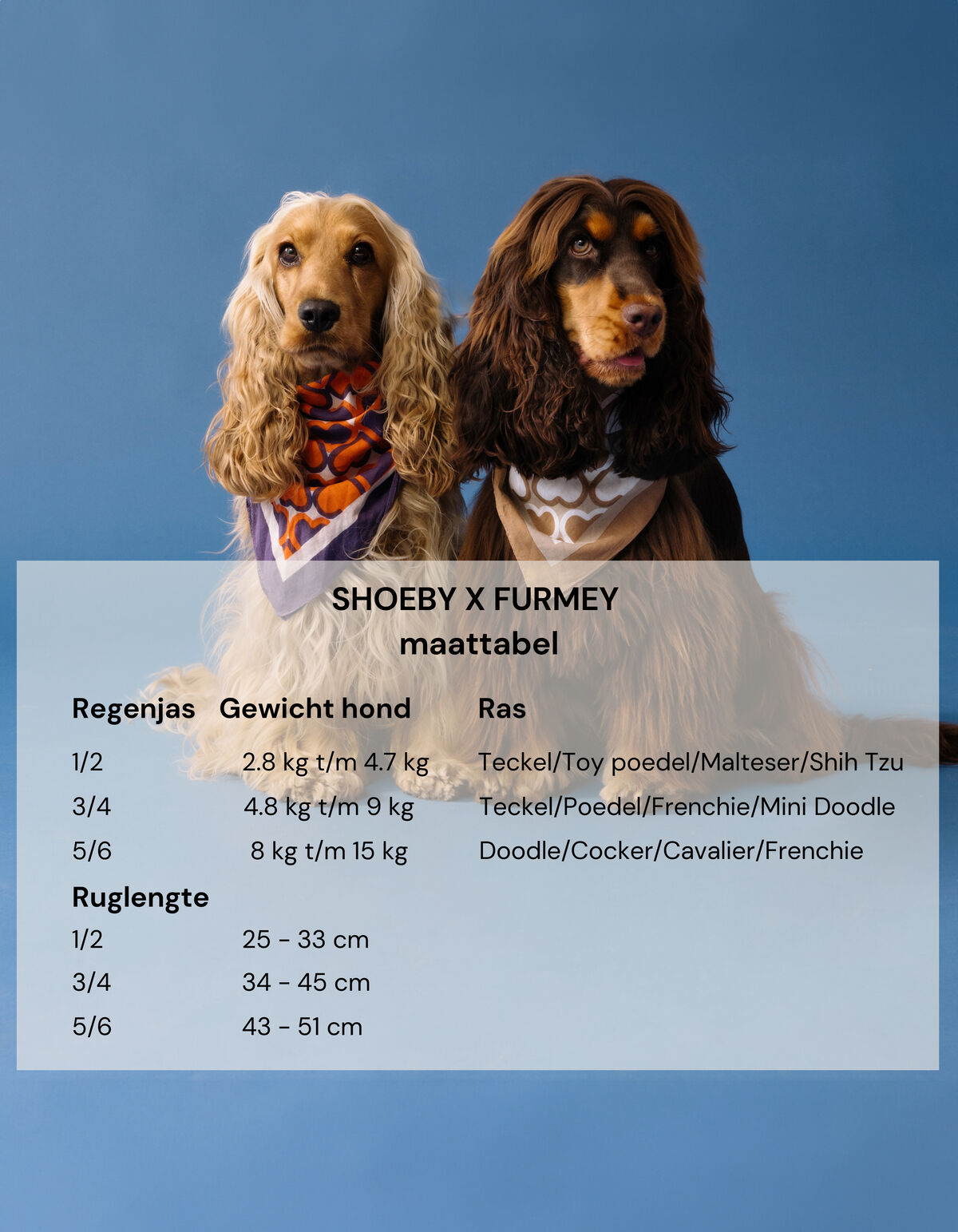 Printed Honden Regenjas Oranje SHOEBY ACCESSOIRES