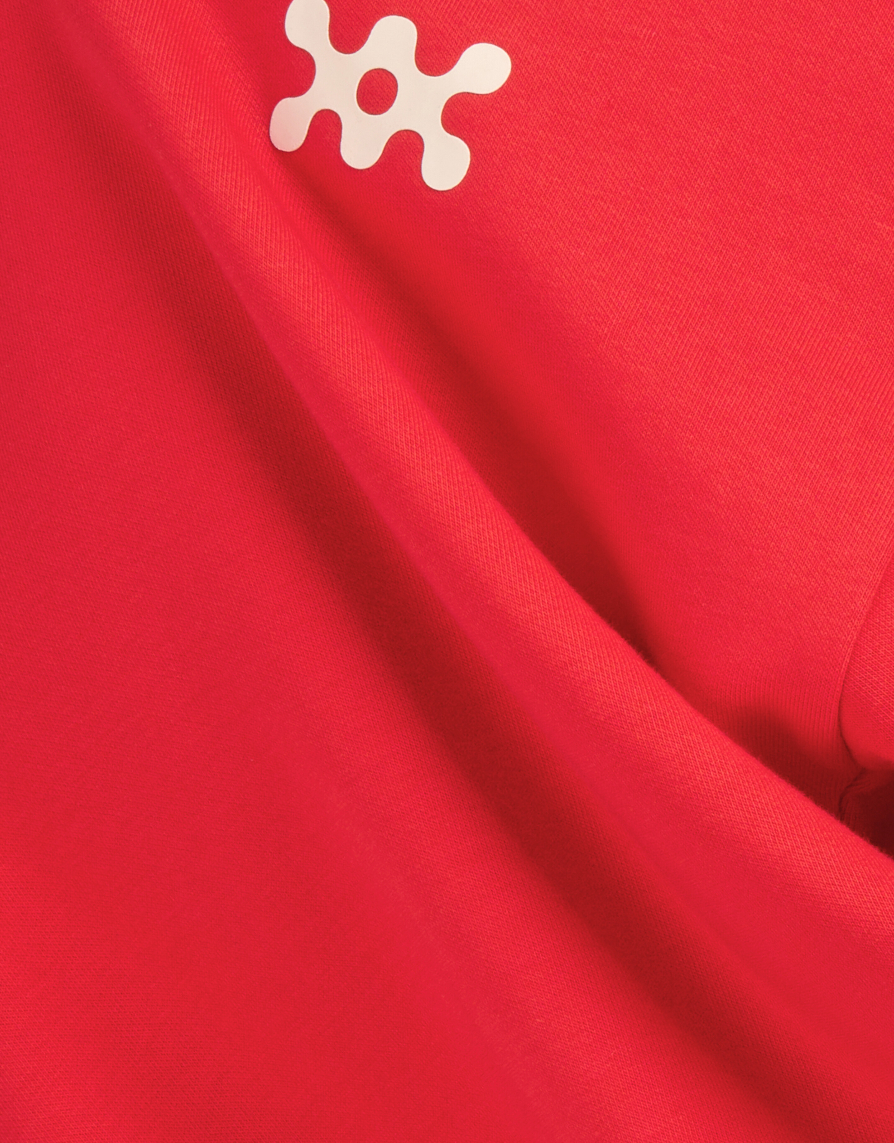 Basis Hoodie Rood SHOEBY BOYS