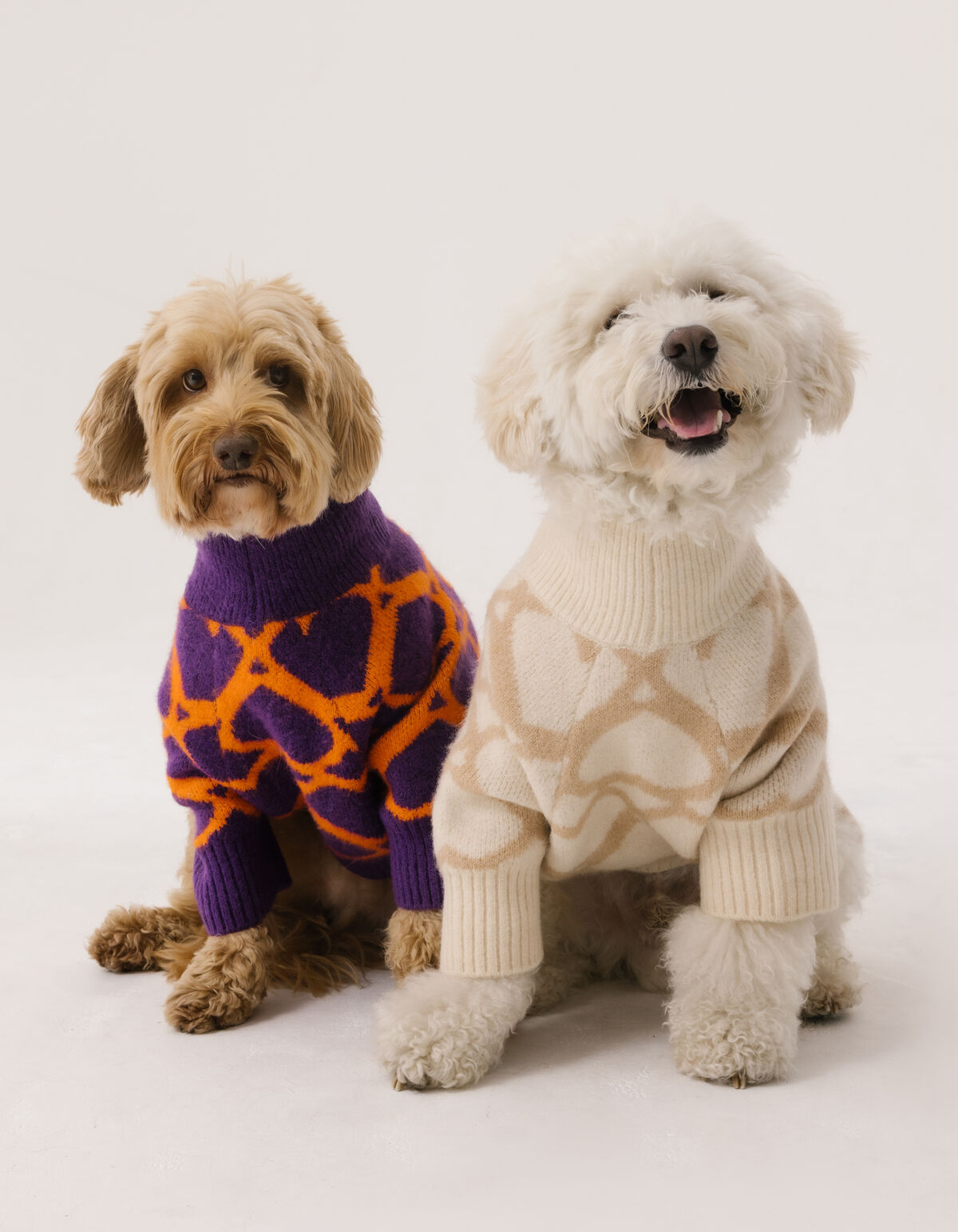Heart Printed Honden Trui Gebroken Wit SHOEBY ACCESSOIRES