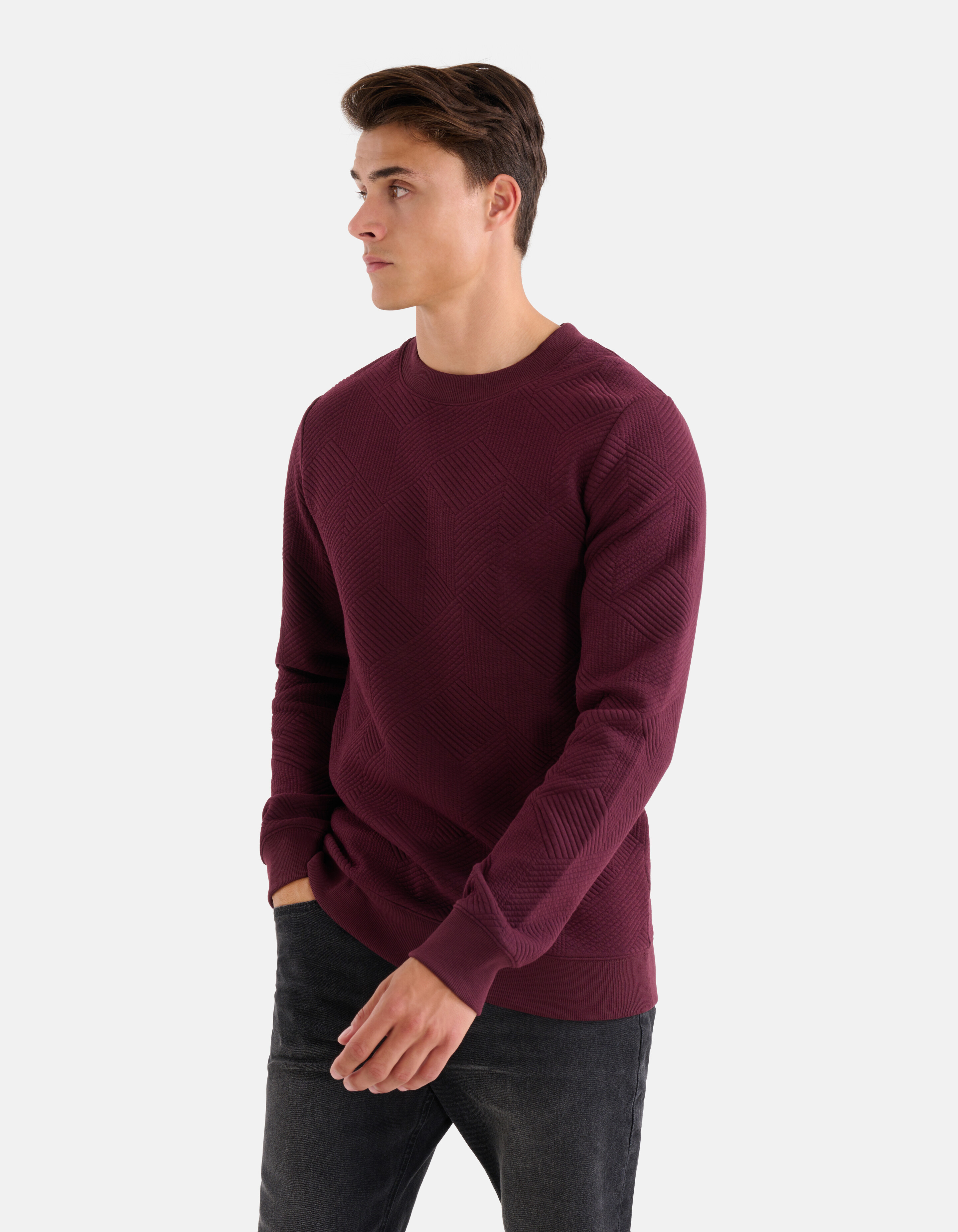 Geometrische Sweater Bordeaux SHOEBY MEN