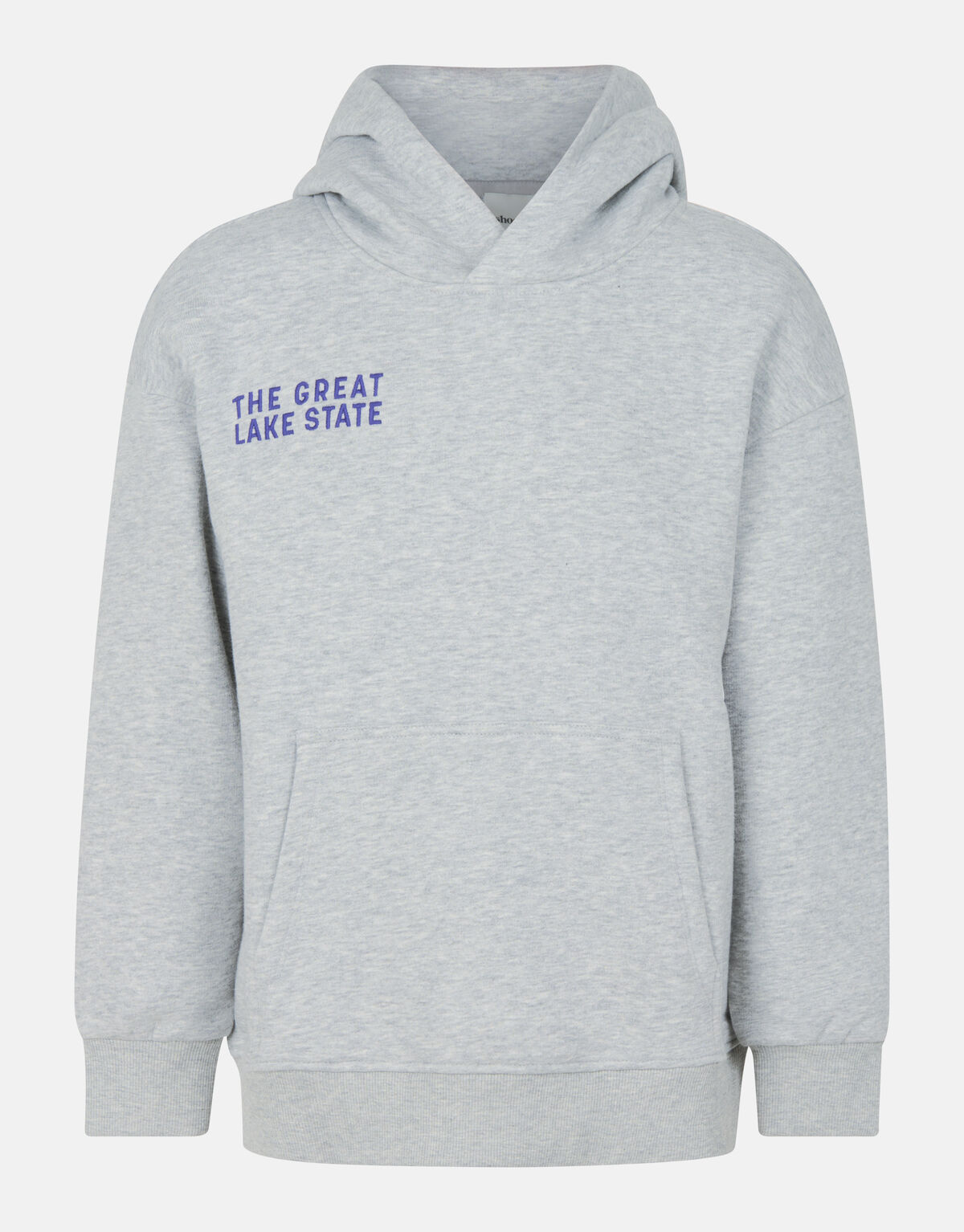 Hoodie Grijs SHOEBY BOYS