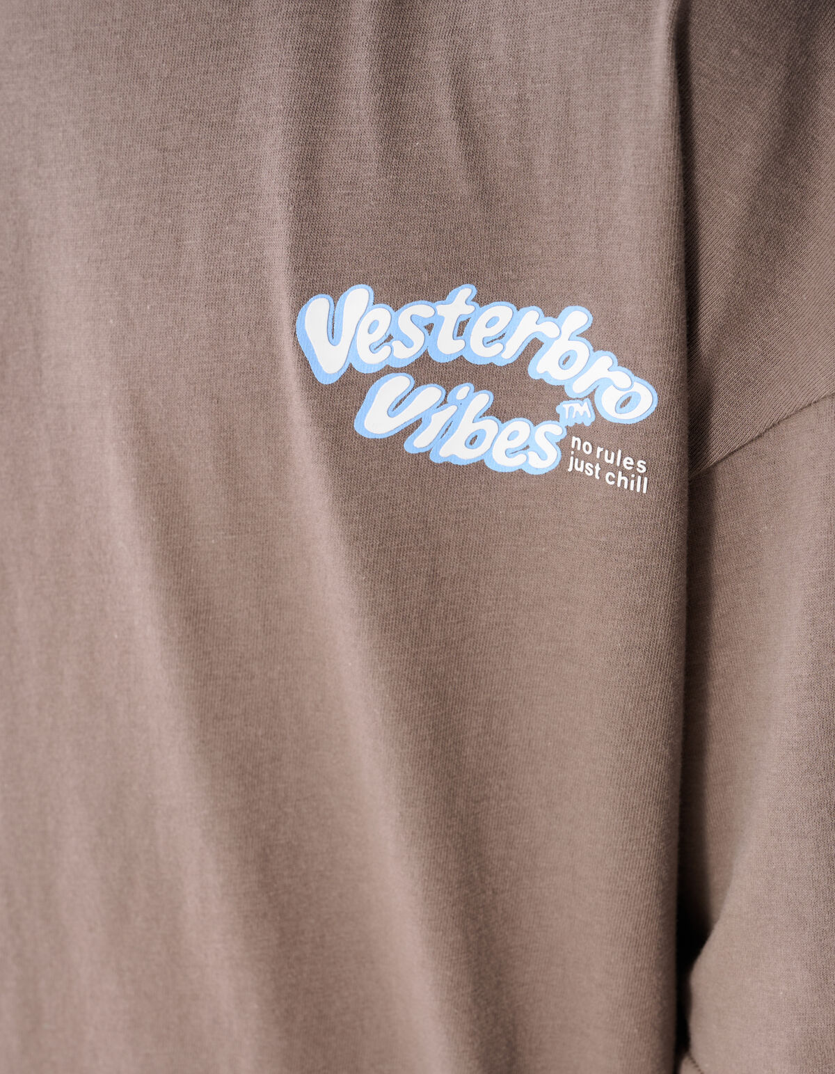 Vibes Artwork T-shirt Bruin SHOEBY BOYS