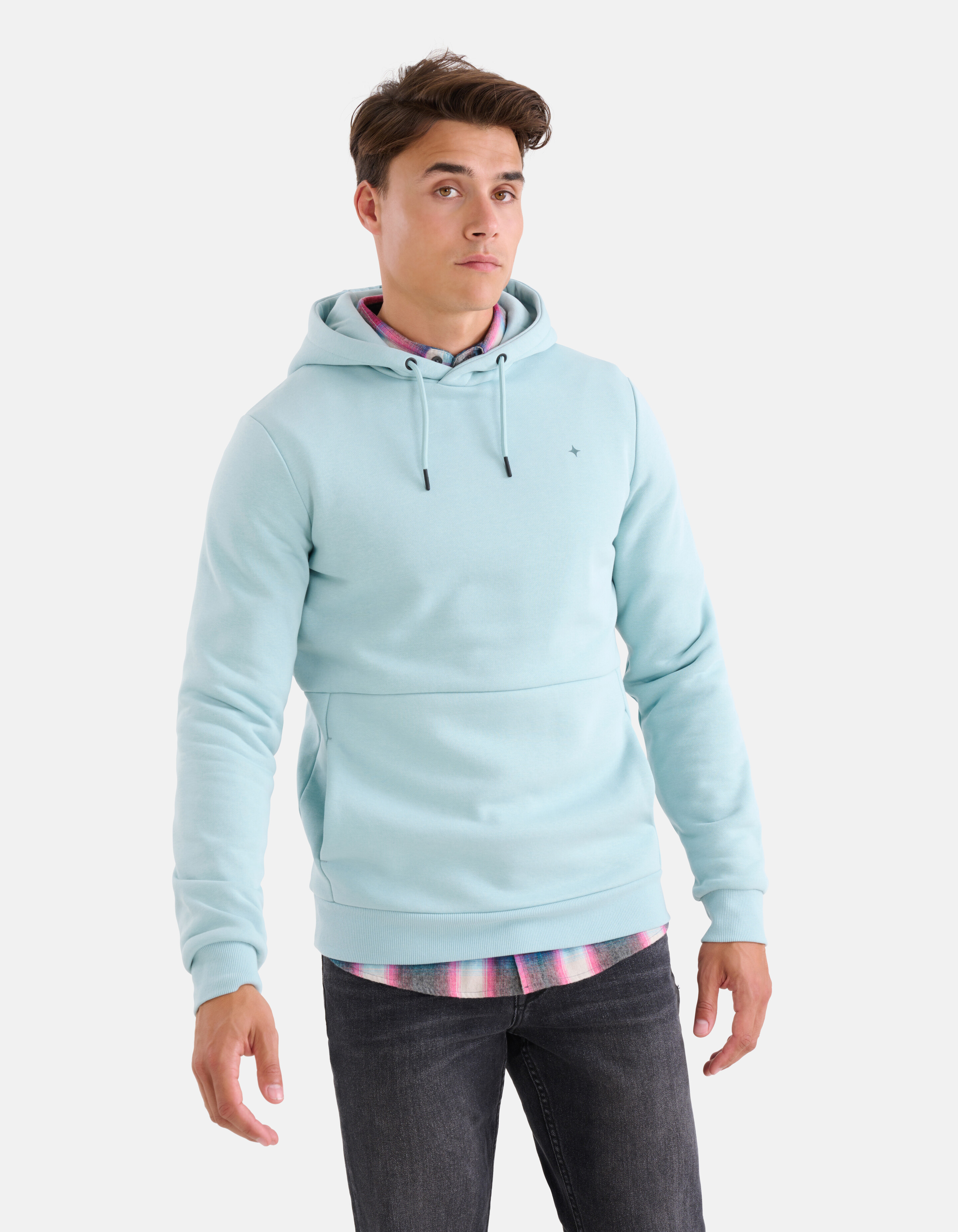 Grafische Hoodie Lichtblauw SHOEBY MEN