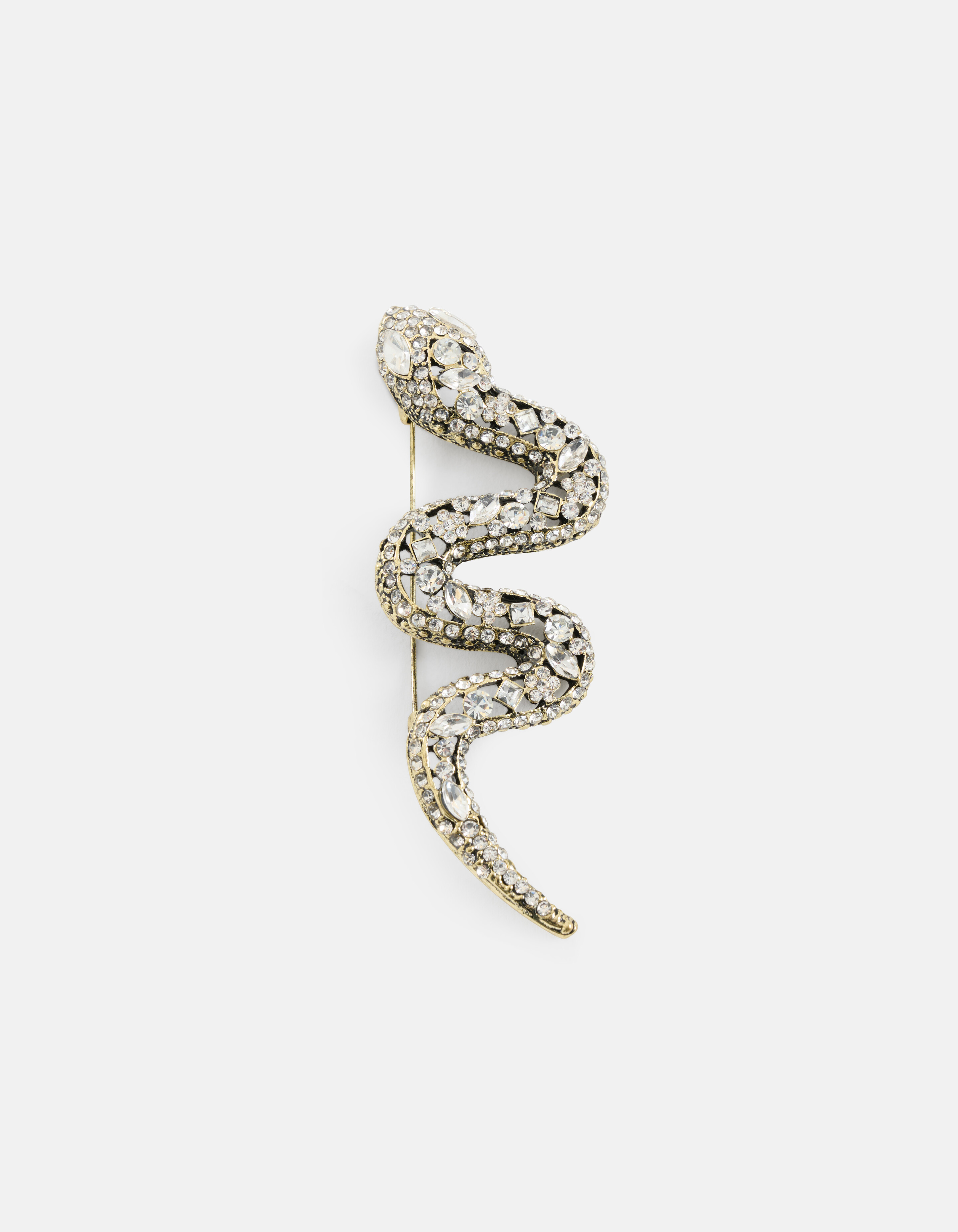 Slangen Broche Goud SHOEBY ACCESSOIRES