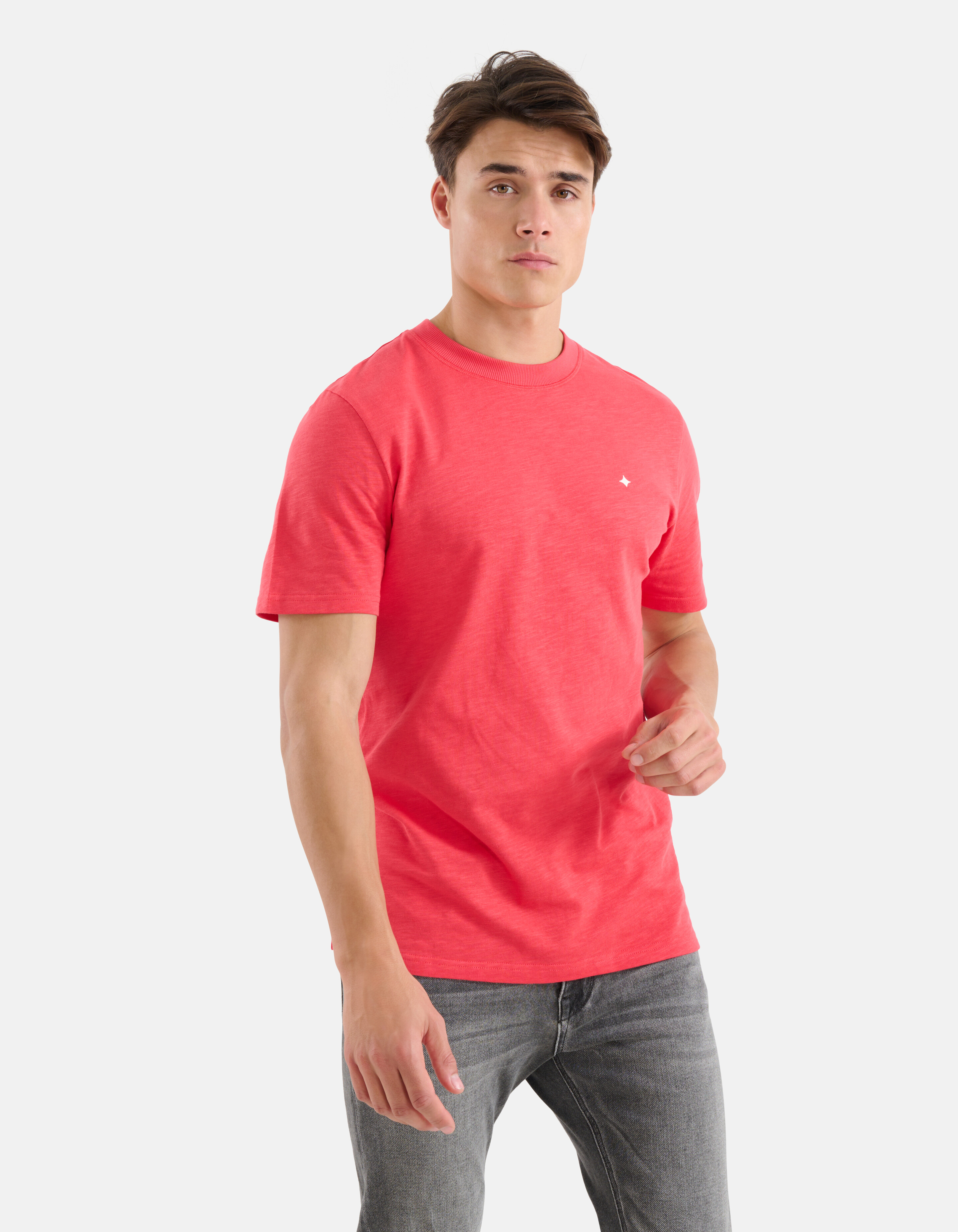 Artwork T-shirt Rood SHOEBY MEN