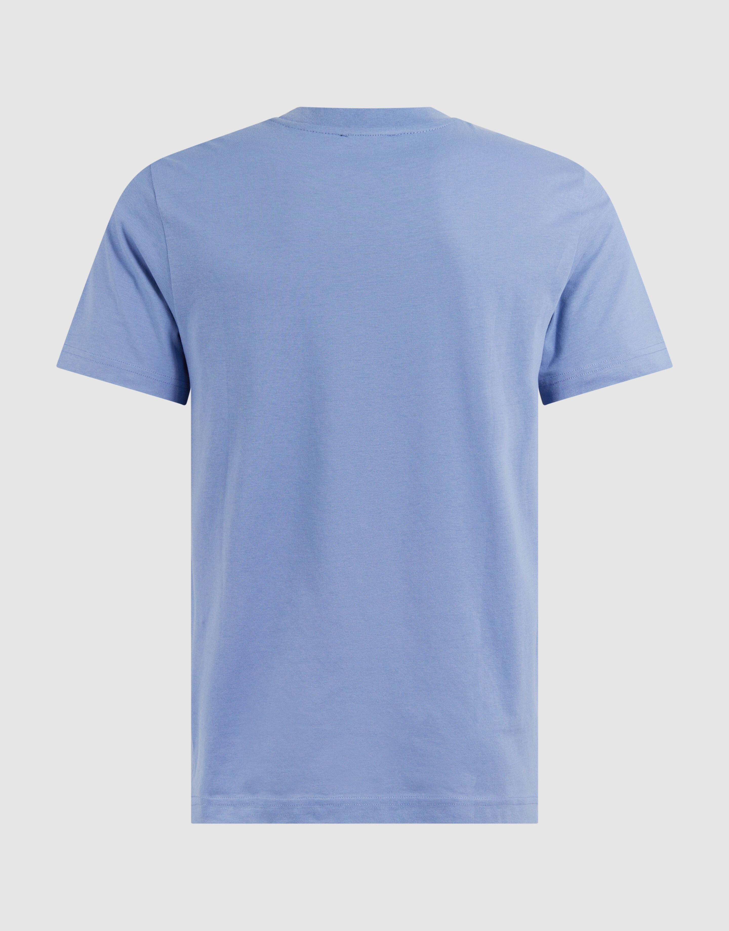 Palm Artwork T-shirt Lichtblauw SHOEBY MEN