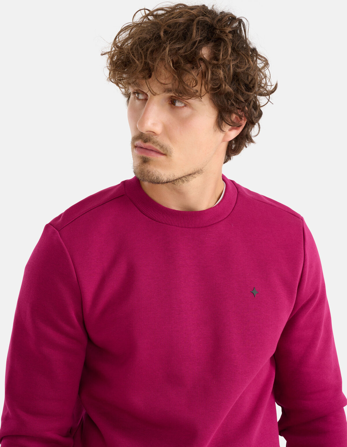 Sparkle Sweater Bordeaux SHOEBY MEN