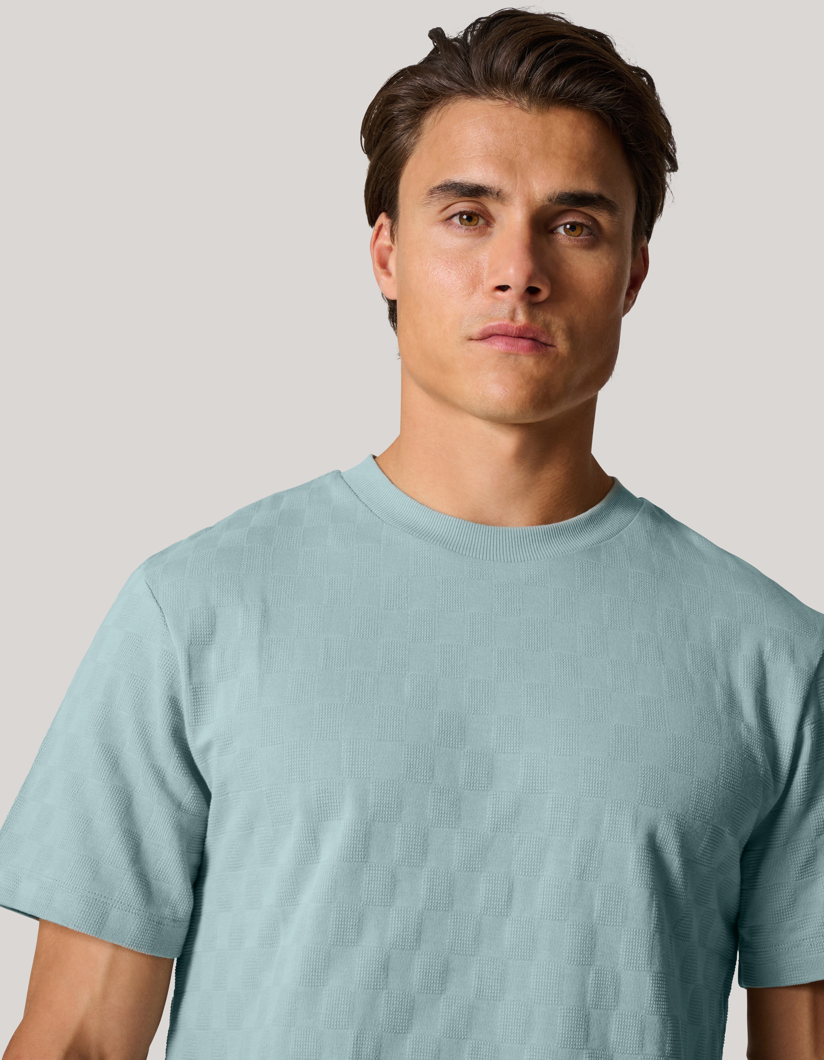 Block Structuur T-shirt Lichtgrijs SHOEBY MEN