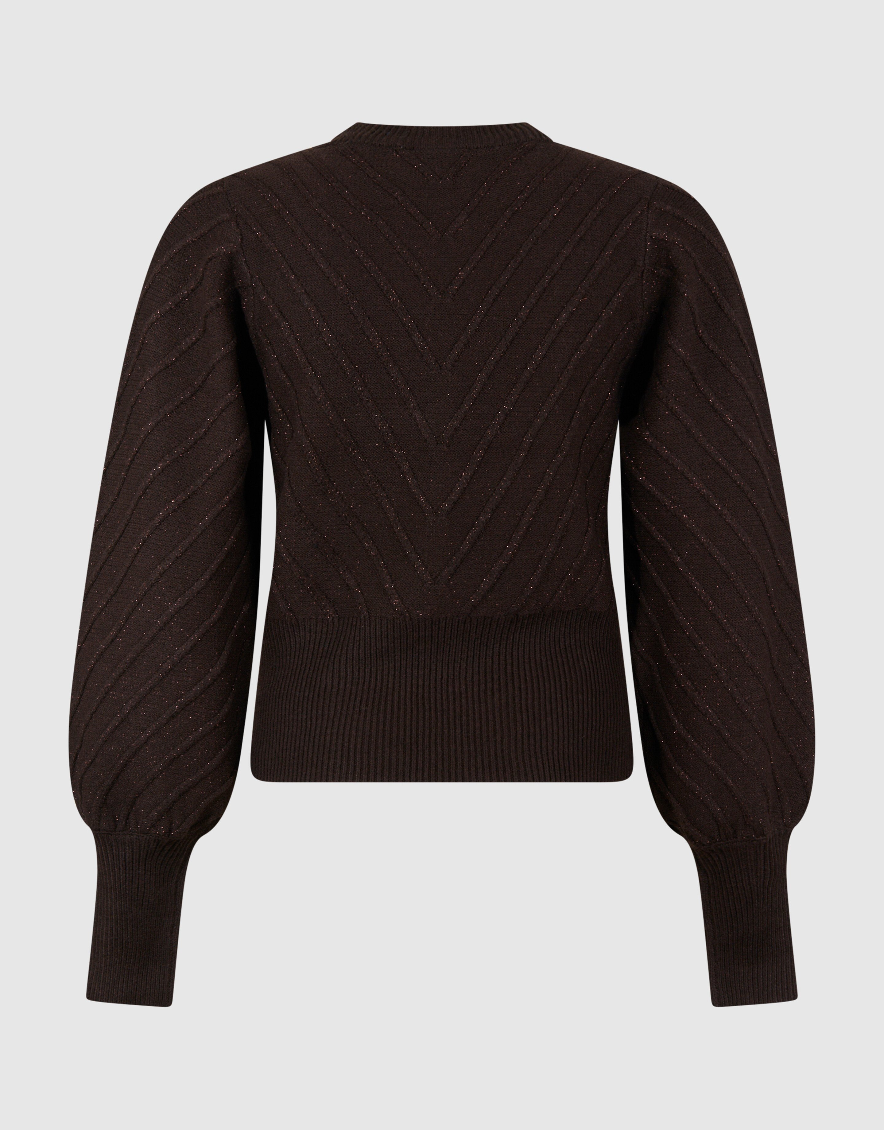 Glitter Gebreide Trui Donkerbruin SHOEBY WOMEN