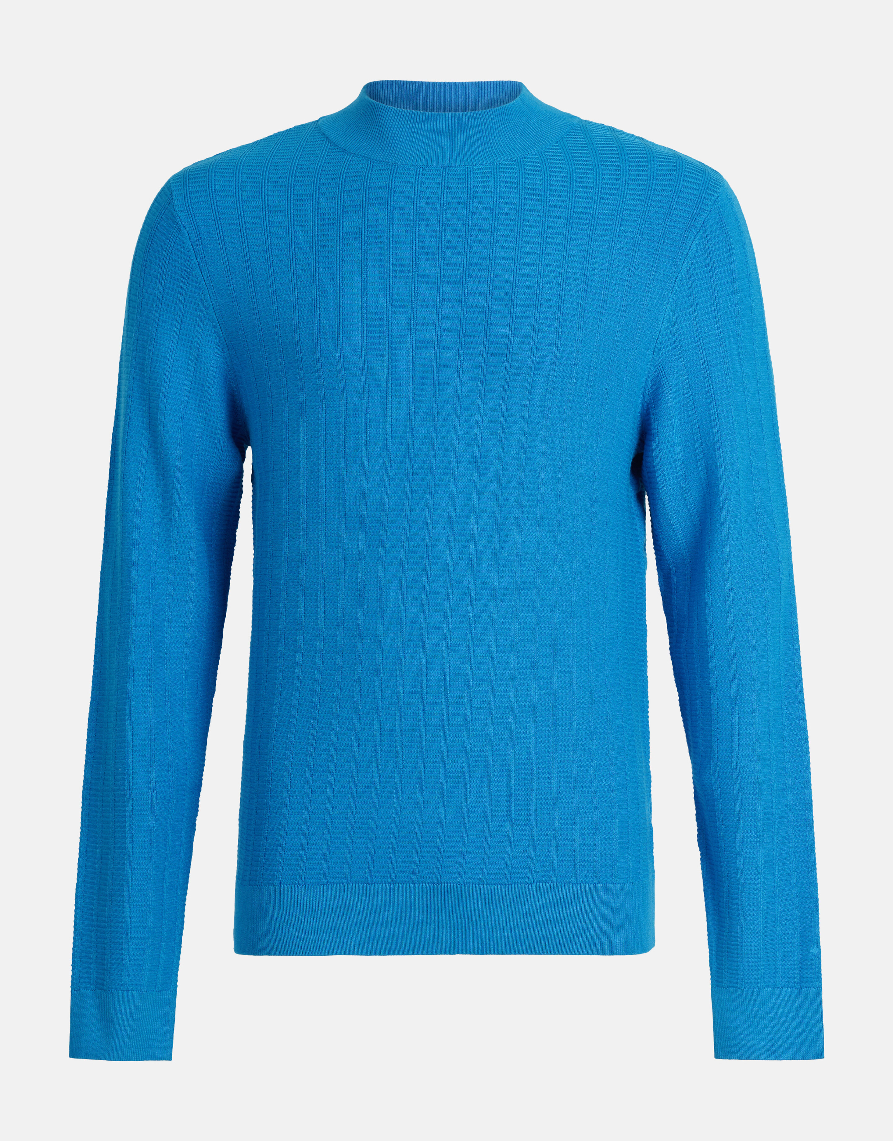 Structuur Trui Blauw SHOEBY MEN