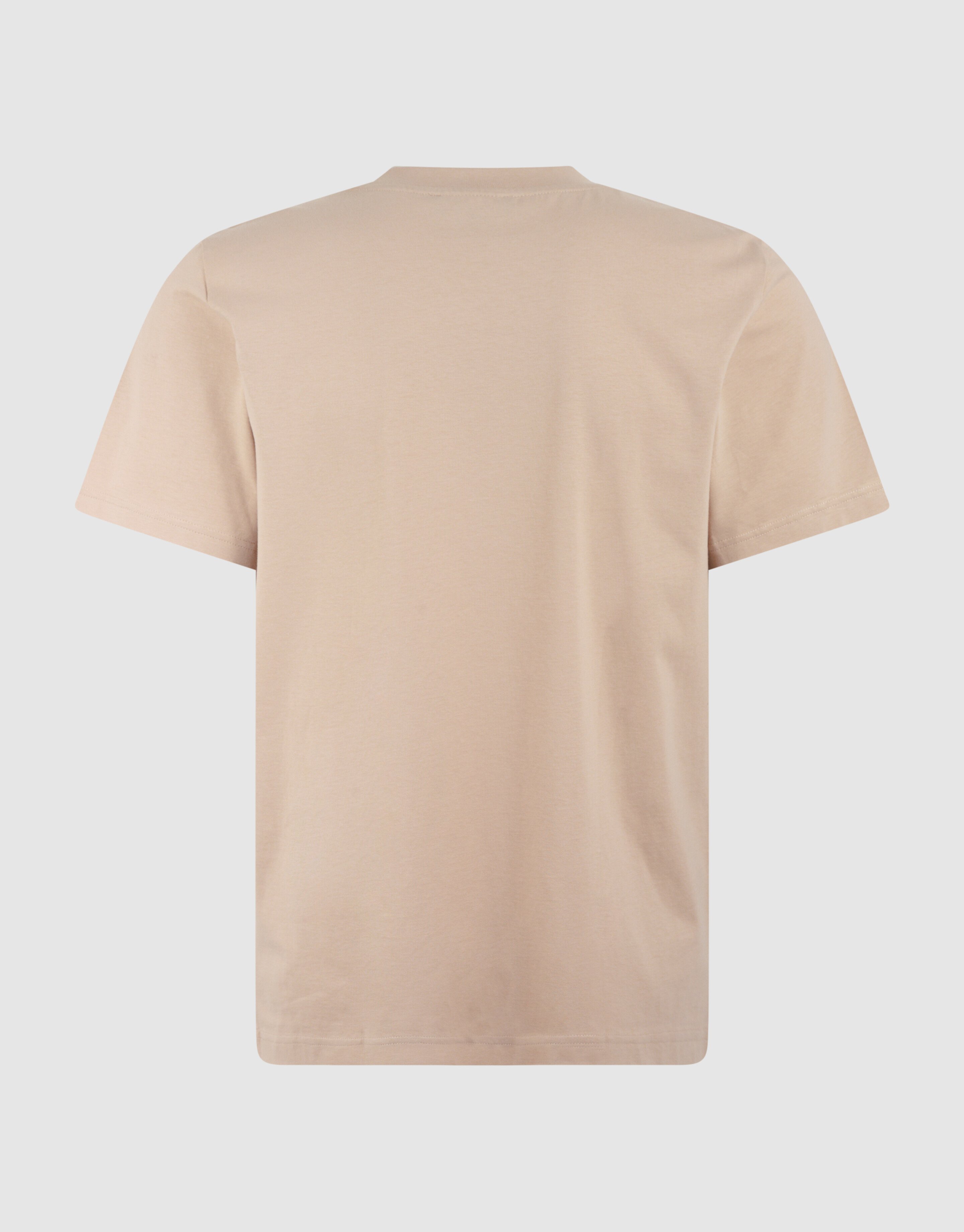 Mixed Tekst Artwork T-shirt Zand SHOEBY MEN