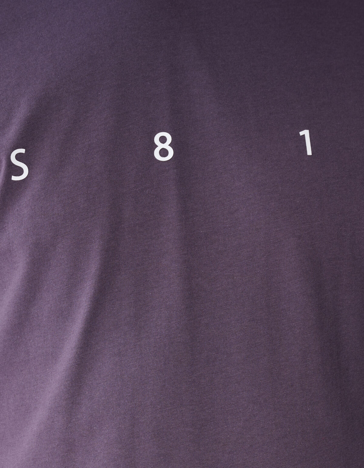 Minimal Artwork T-shirt Paars SHOEBY MEN