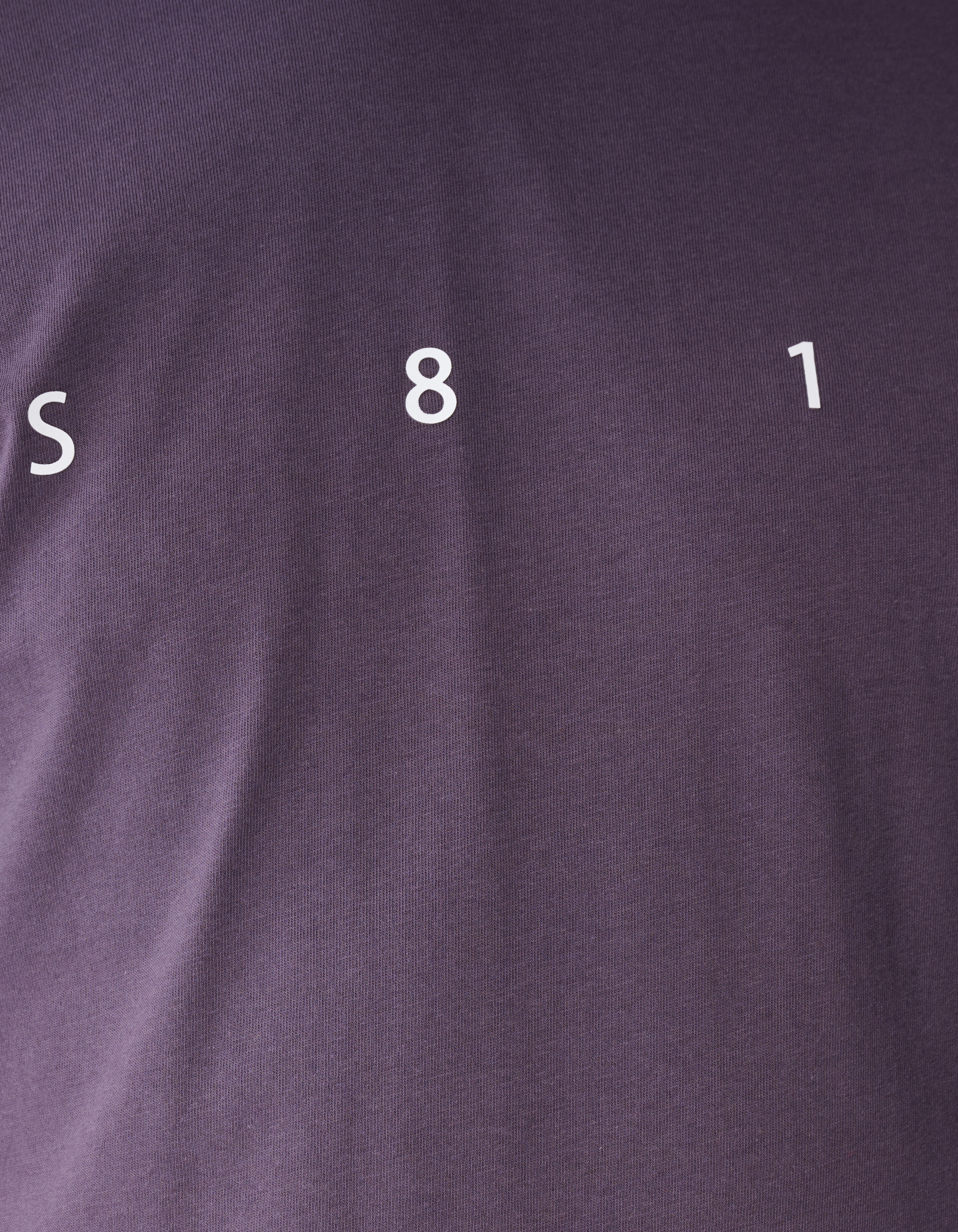Minimal Artwork T-shirt Paars SHOEBY MEN
