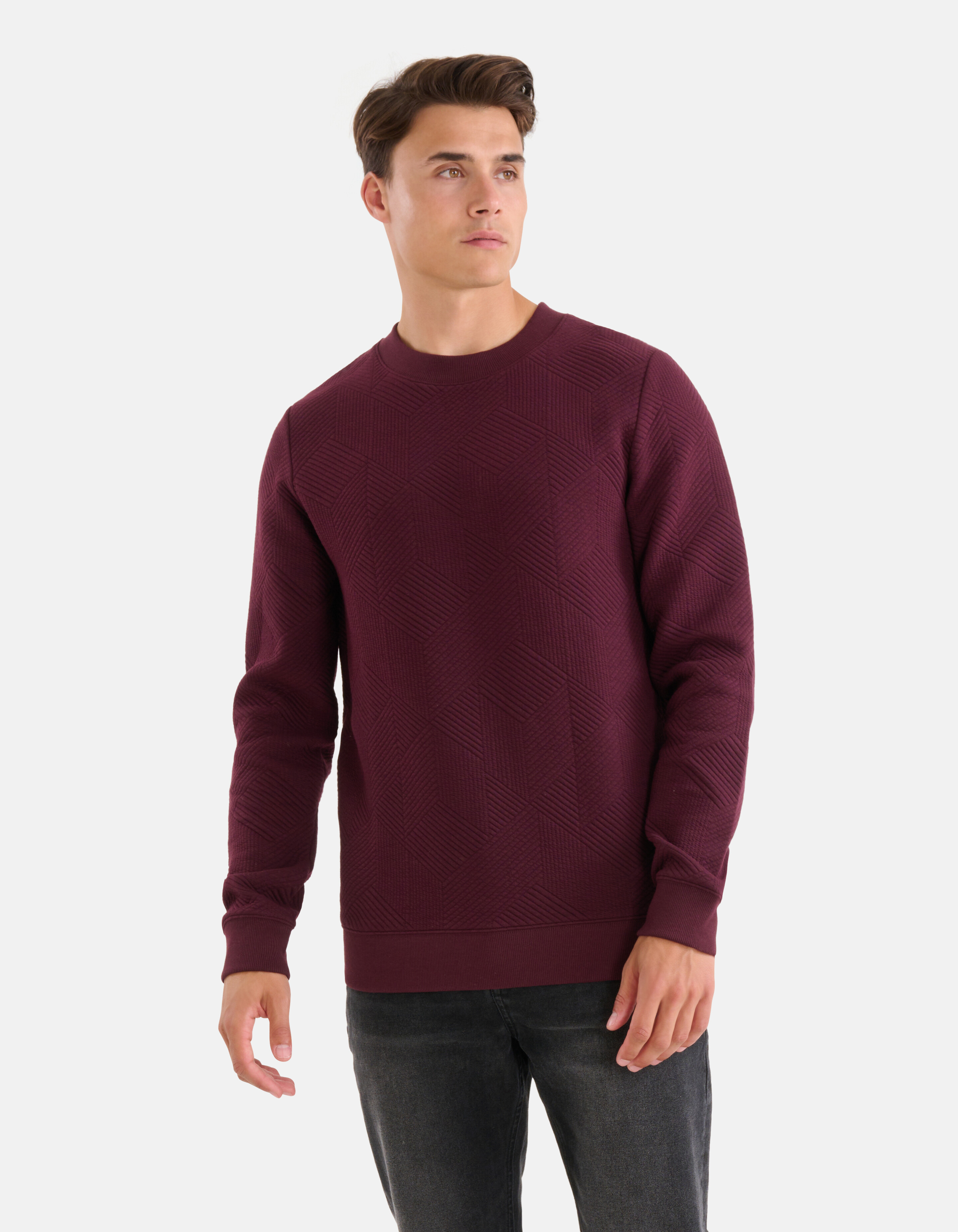 Geometrische Sweater Bordeaux SHOEBY MEN