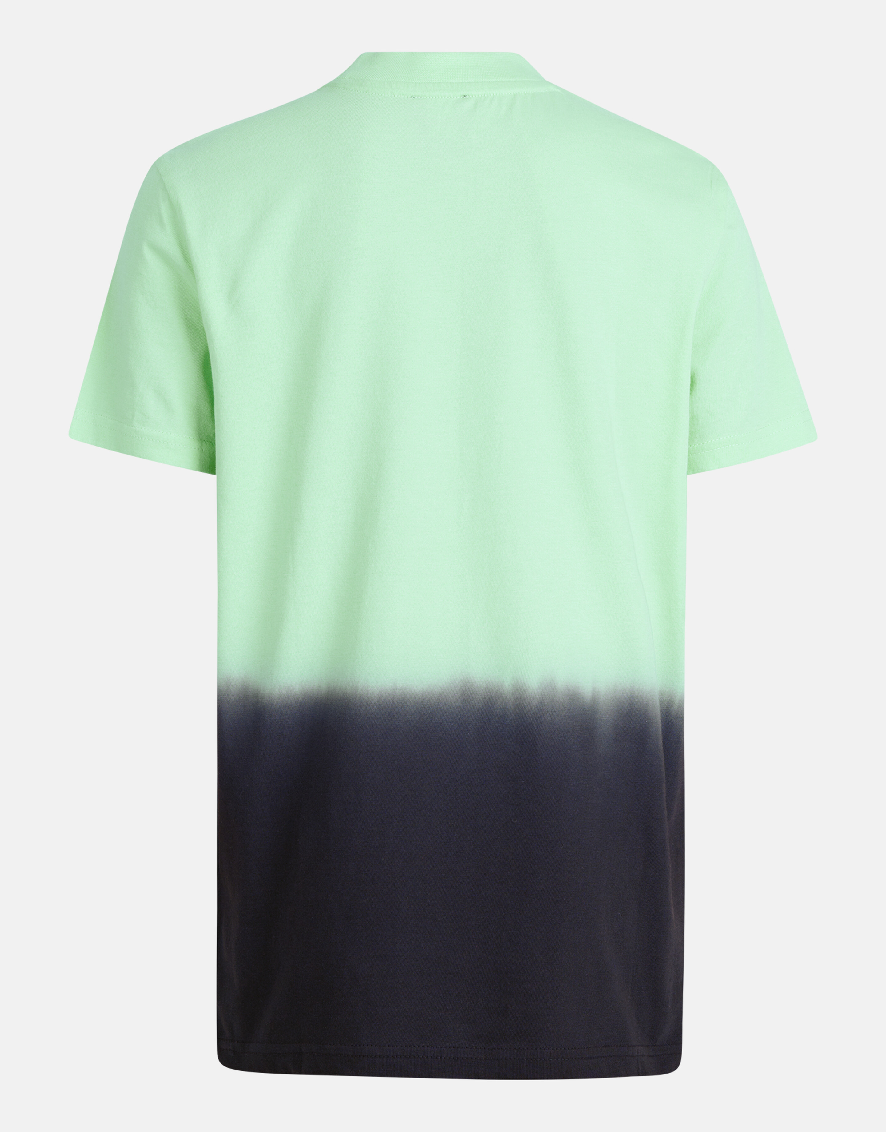 Dip Dye T-shirt Lichtgroen SHOEBY BOYS