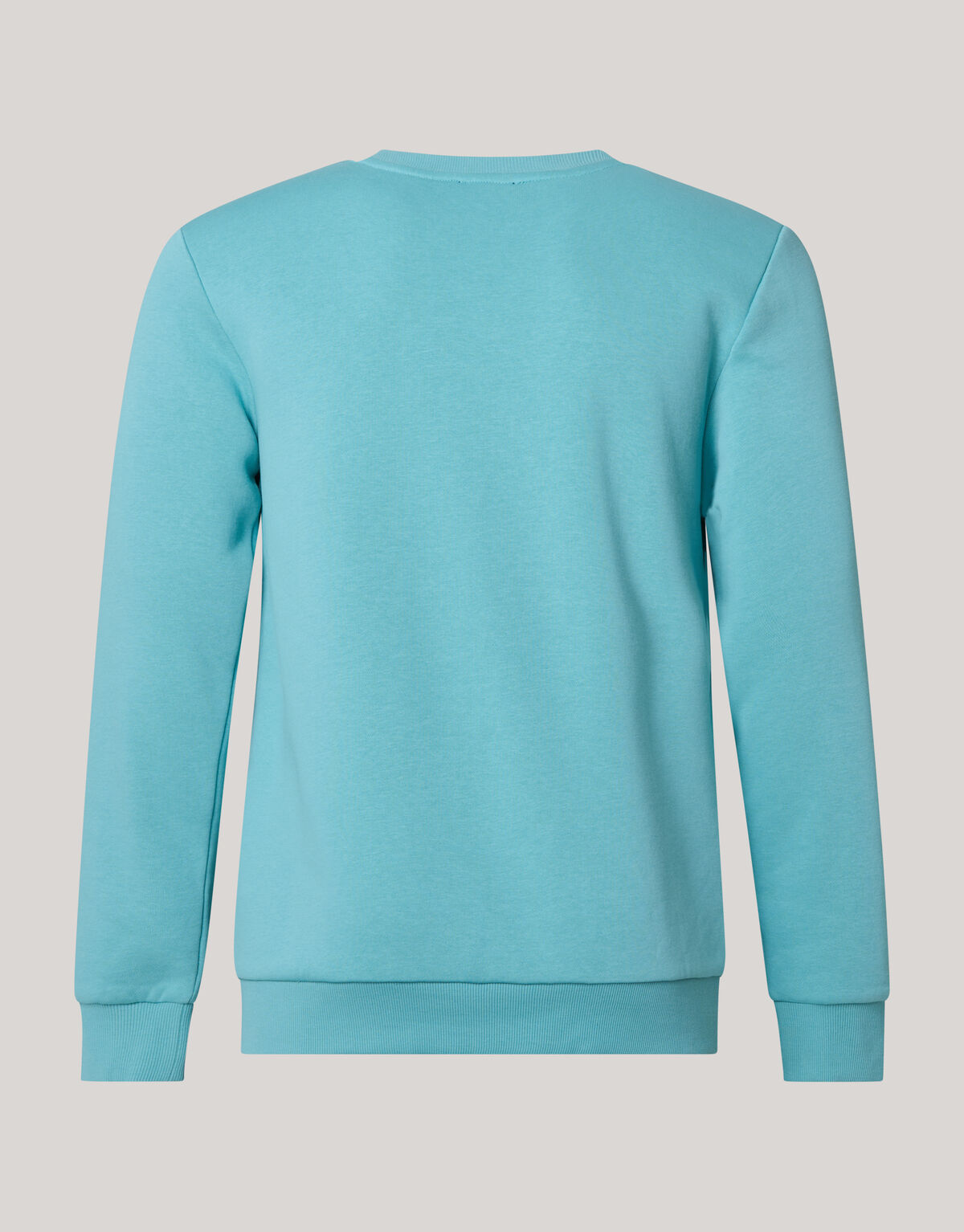 Sparkle Sweater Lichtgroen SHOEBY MEN