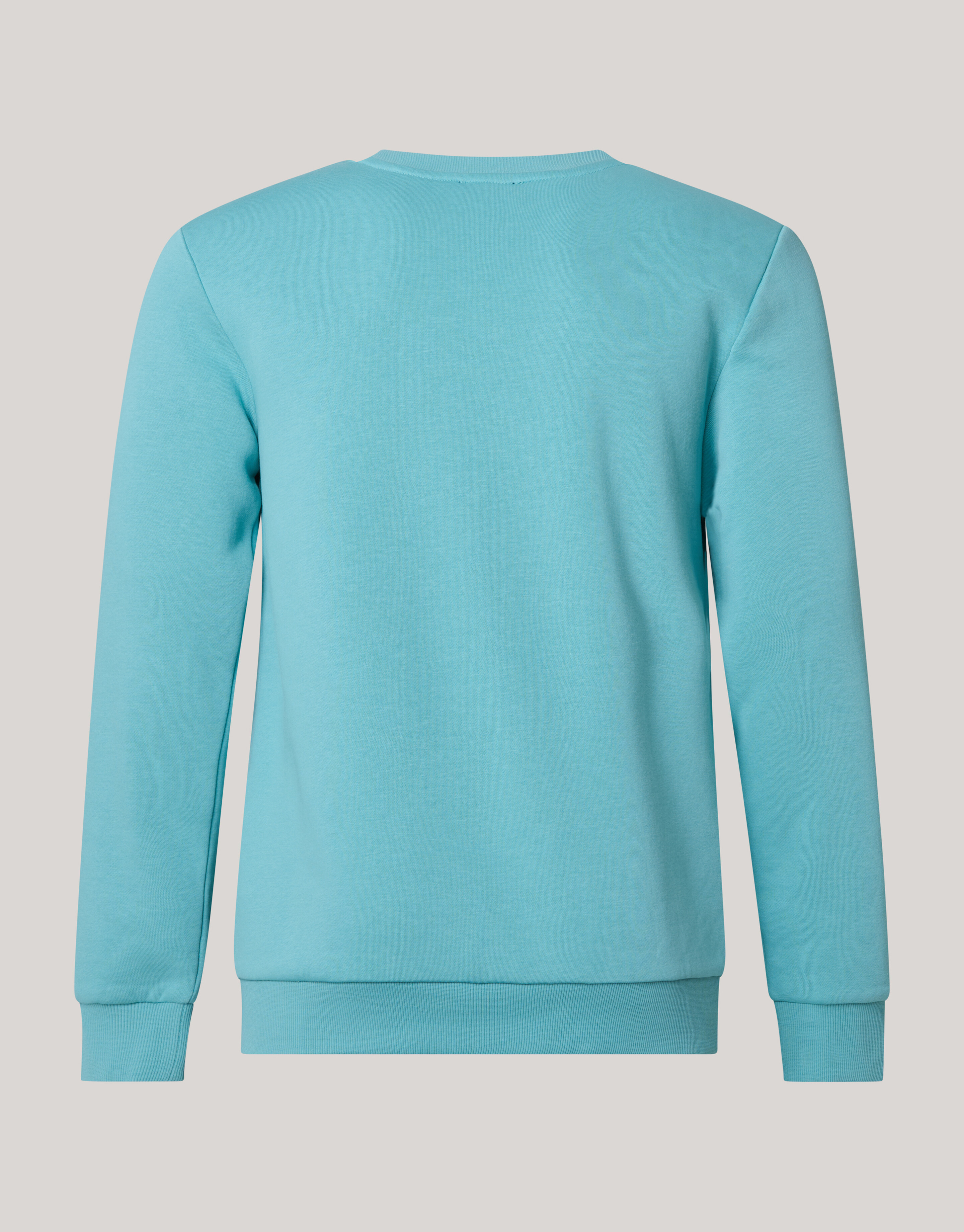 Sparkle Sweater Lichtgroen SHOEBY MEN