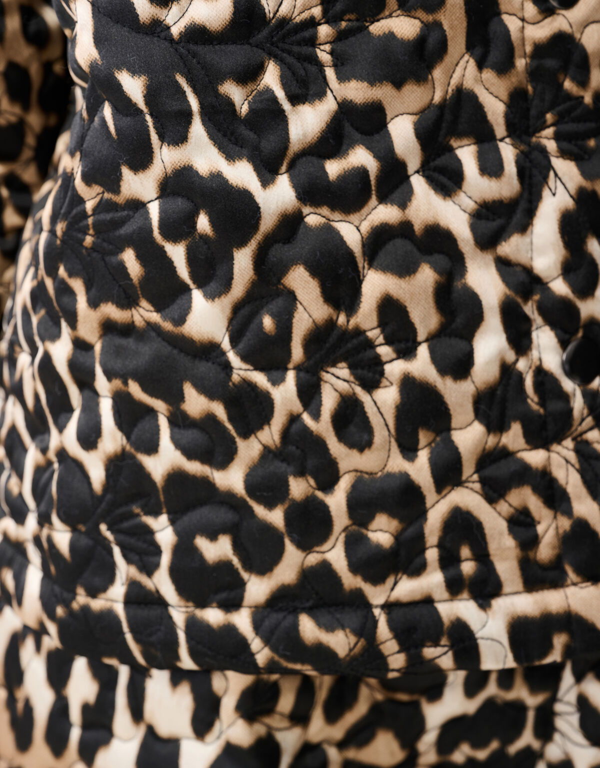 Short Sleeve Leopard Bomber Bruin SHOEBY WOMEN
