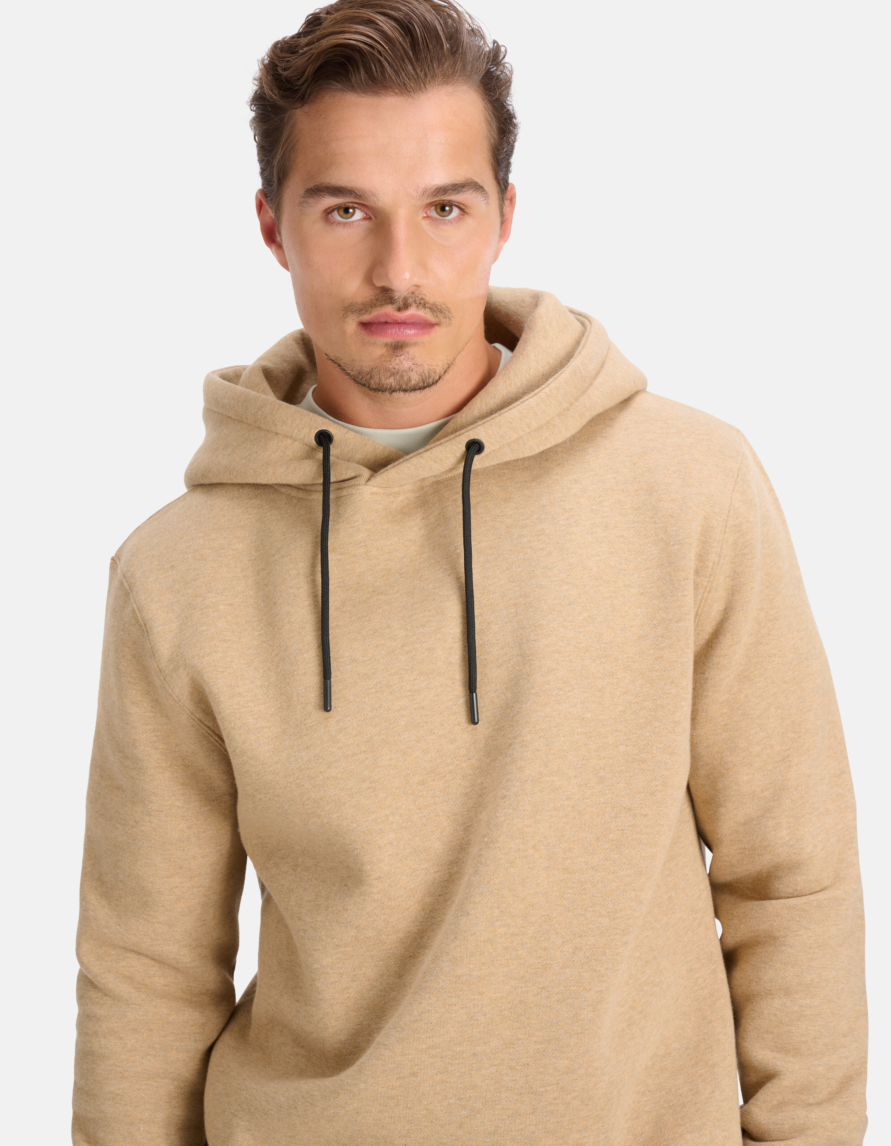 Hoodie Bruin By Fred SHOEBY MEN