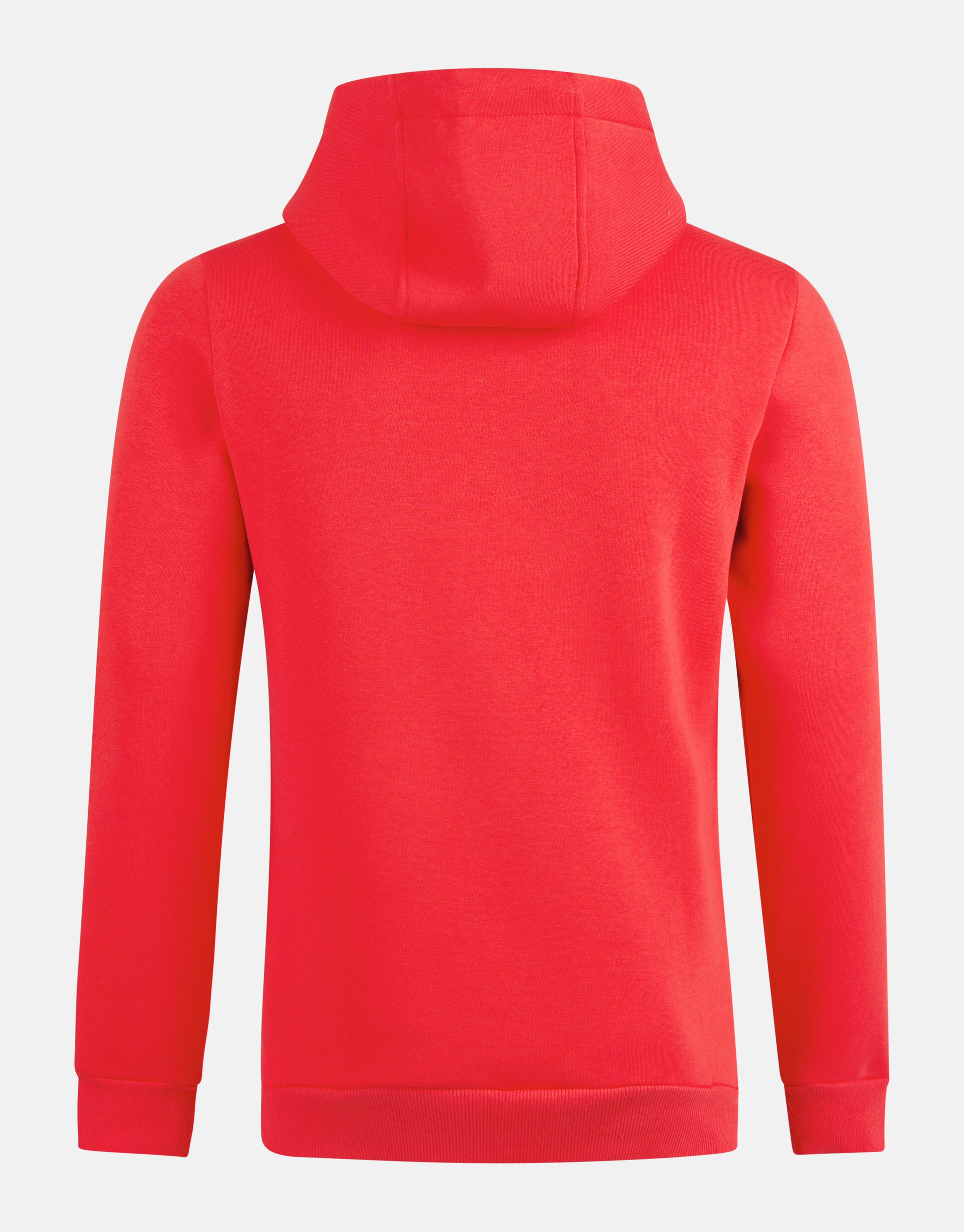 Sparkle Hoodie Rood SHOEBY MEN