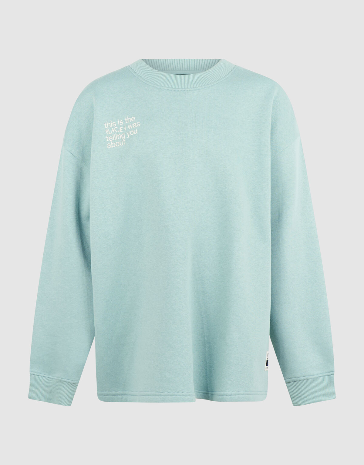 Oversized Artwork Sweater Lichtgroen SHOEBY BOYS