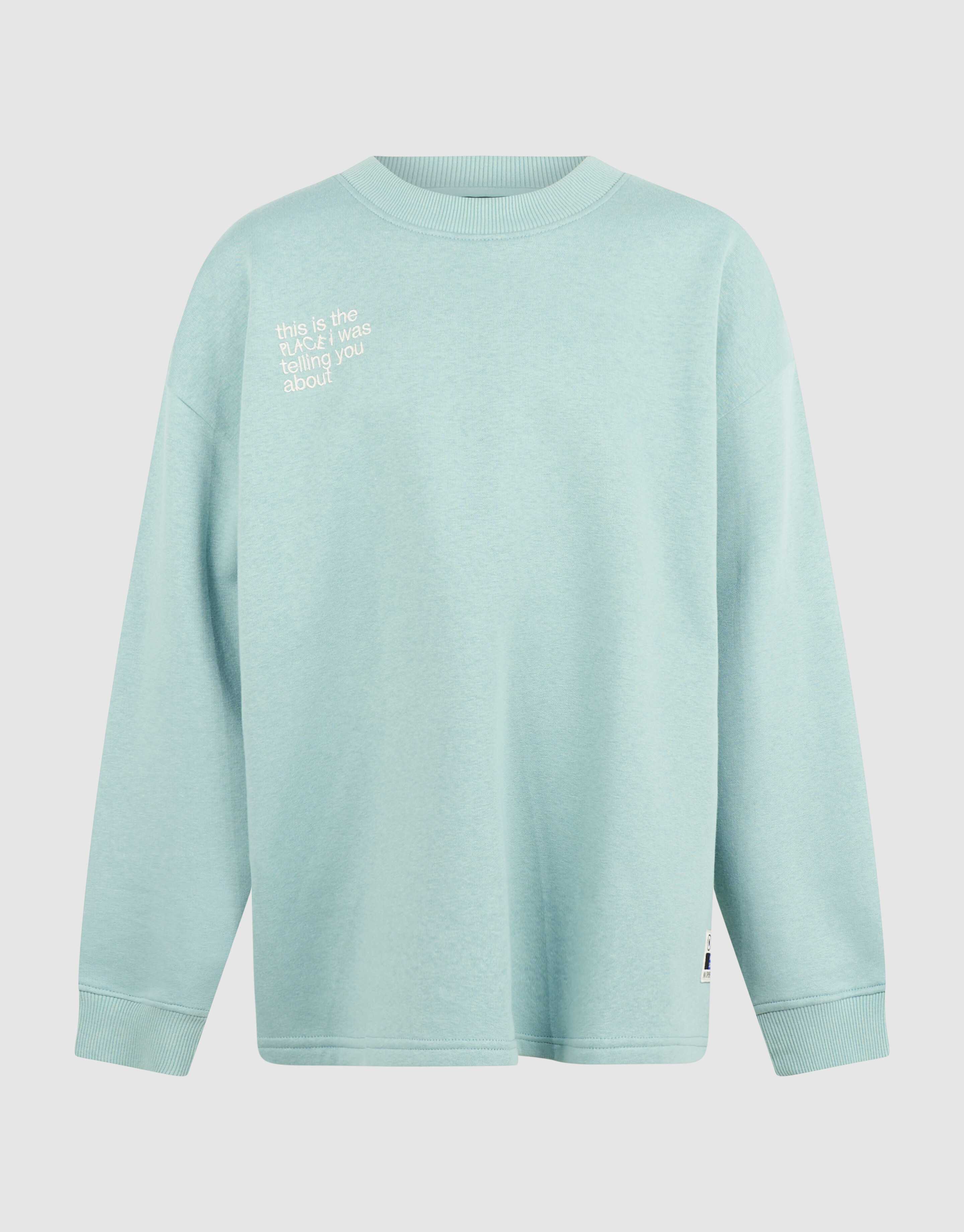 Oversized Artwork Sweater Lichtgroen SHOEBY BOYS